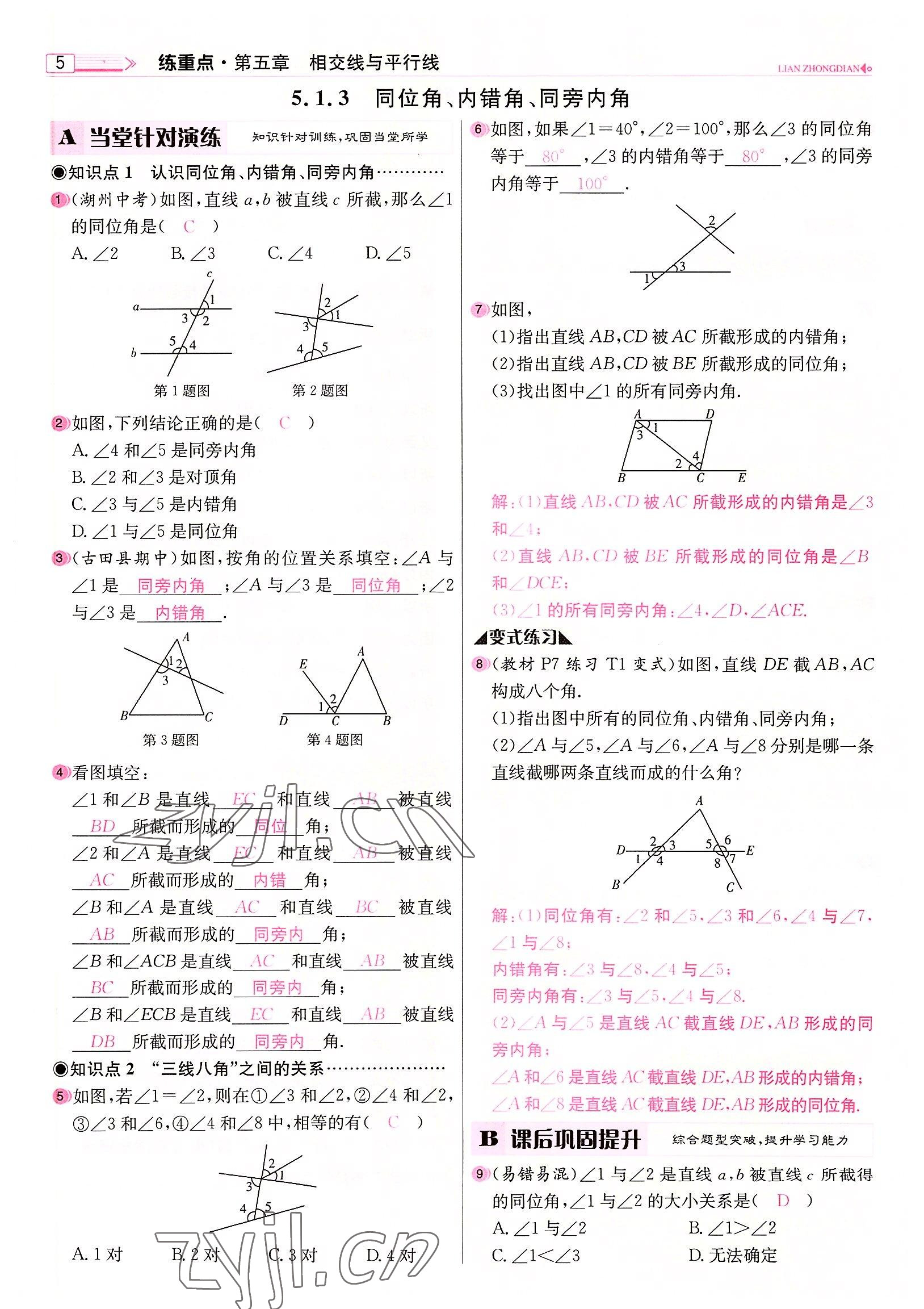 2022年練重點(diǎn)七年級(jí)數(shù)學(xué)下冊(cè)人教版河南專版 參考答案第5頁(yè)