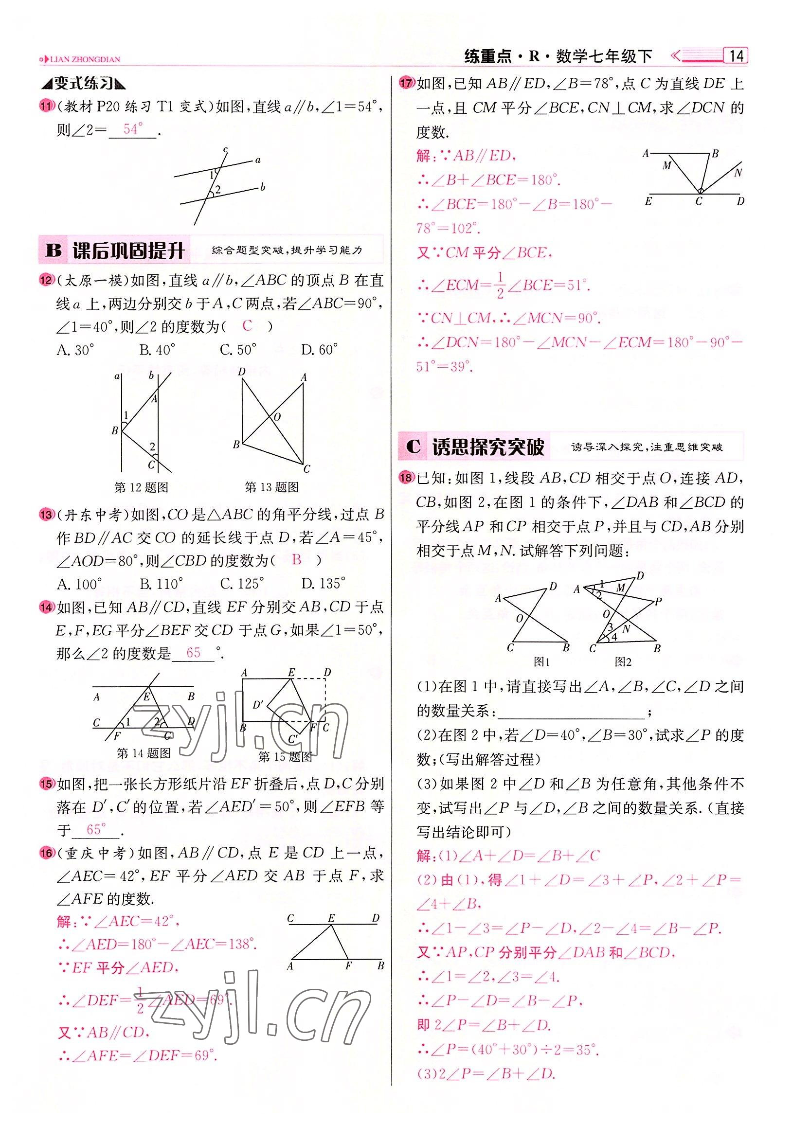 2022年練重點七年級數(shù)學下冊人教版河南專版 參考答案第14頁