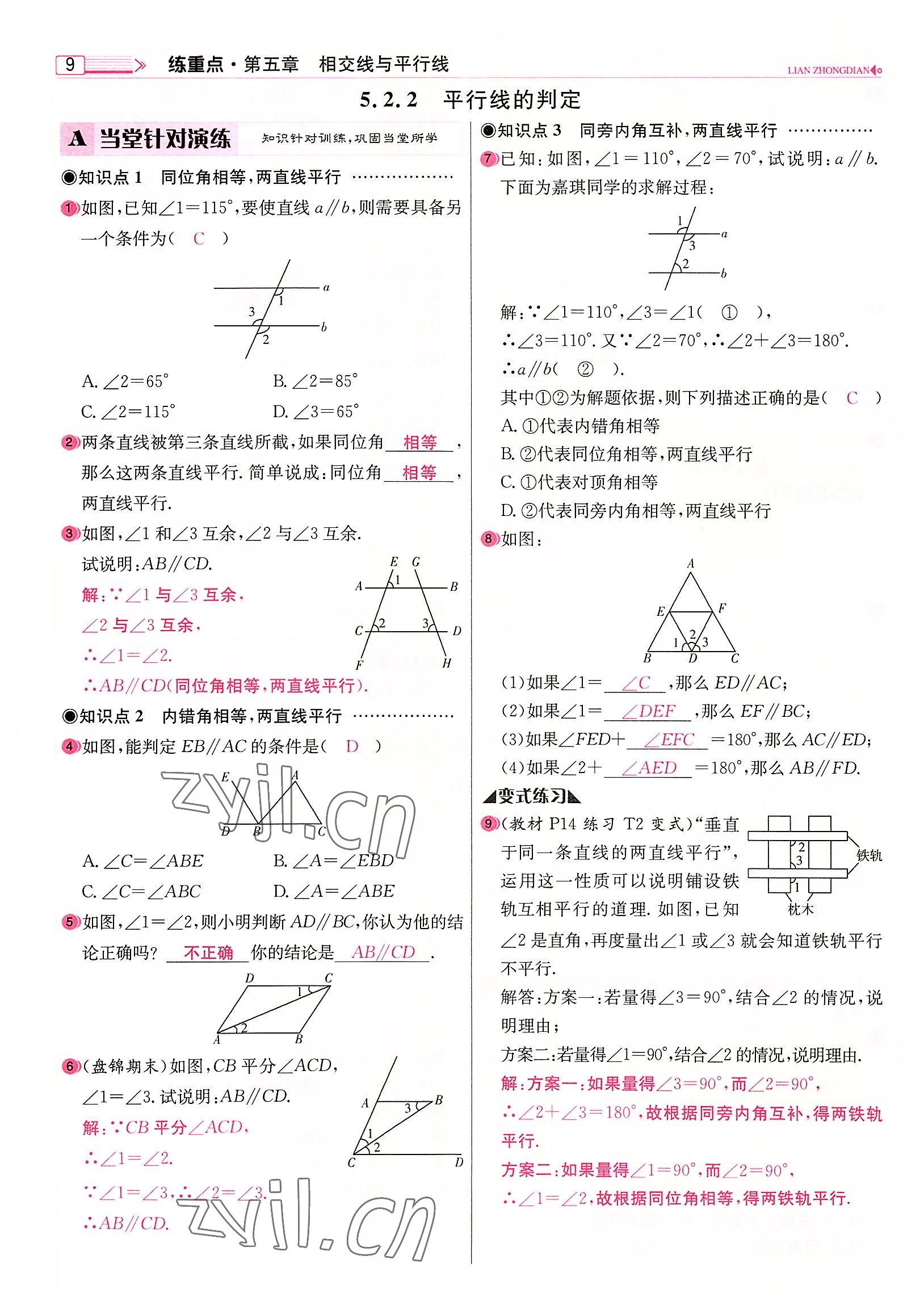 2022年練重點七年級數(shù)學(xué)下冊人教版河南專版 參考答案第9頁