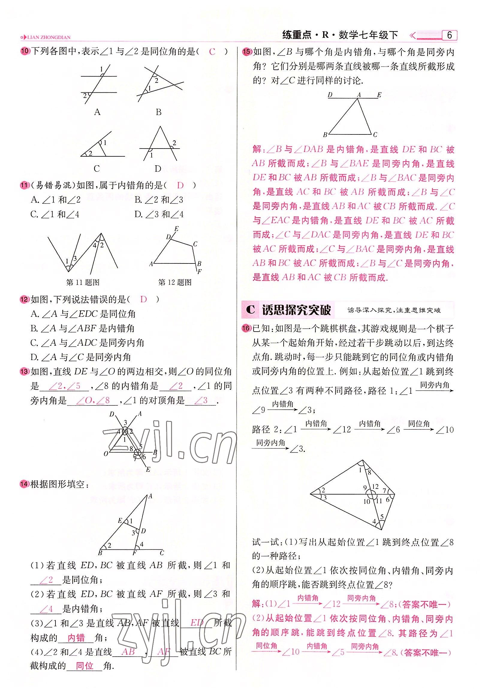 2022年練重點(diǎn)七年級數(shù)學(xué)下冊人教版河南專版 參考答案第6頁