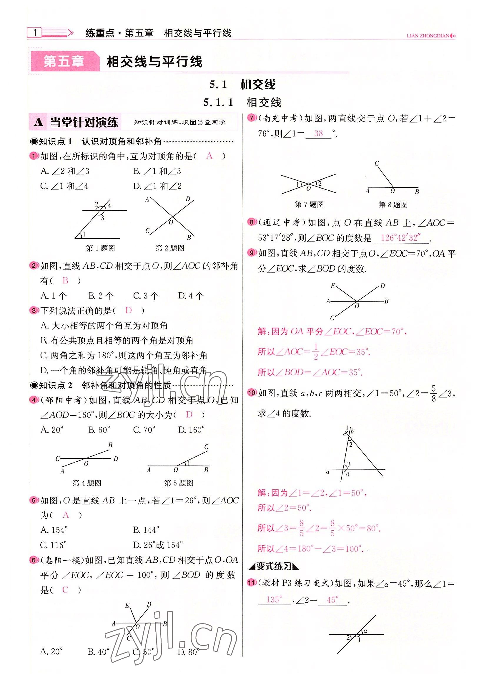 2022年練重點七年級數(shù)學下冊人教版河南專版 參考答案第1頁