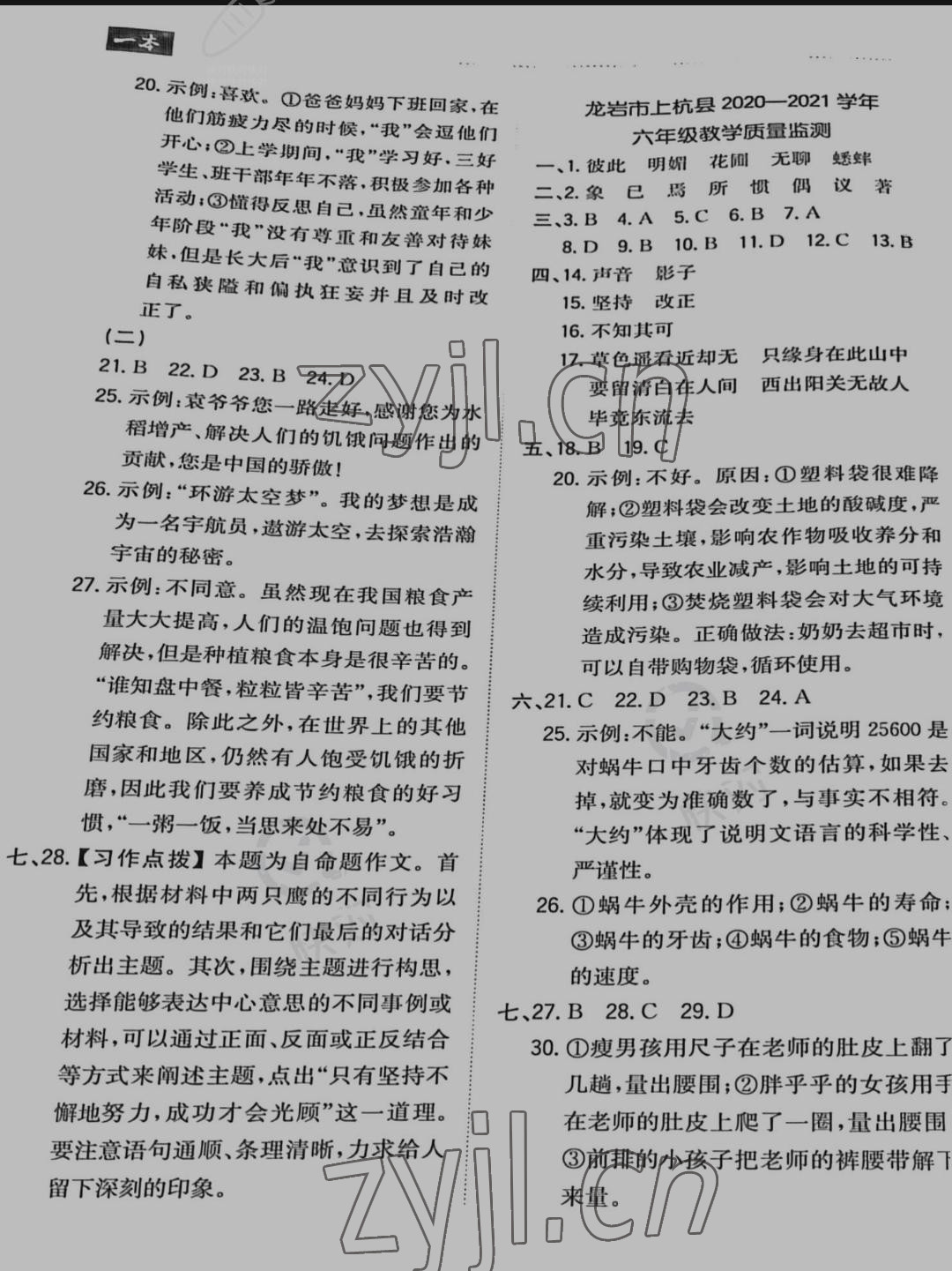 2022年一本小升初冲刺新卷六年级语文福建专版 参考答案第6页