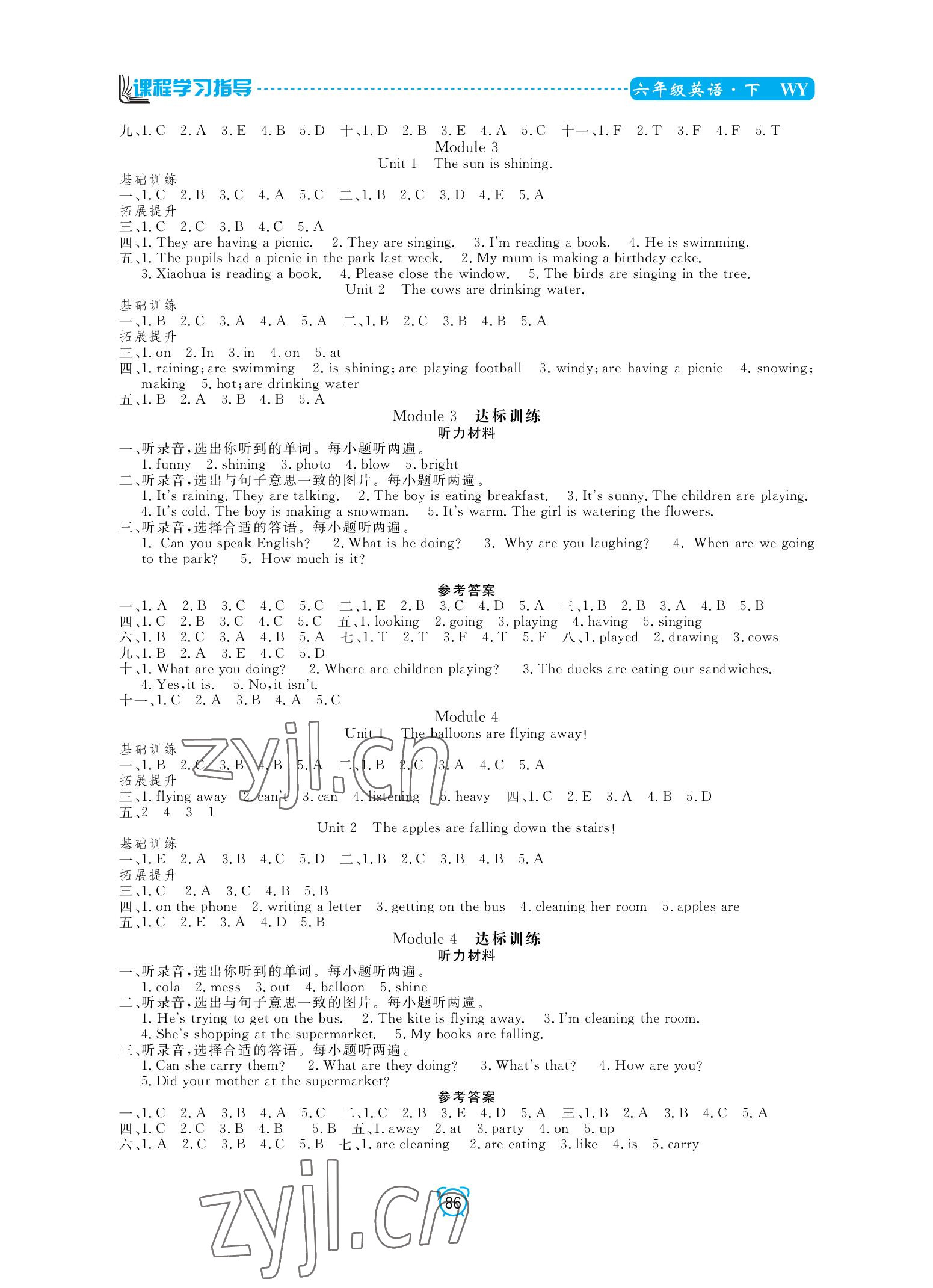 2022年課程學(xué)習(xí)指導(dǎo)南方出版社六年級英語下冊外研版 參考答案第2頁