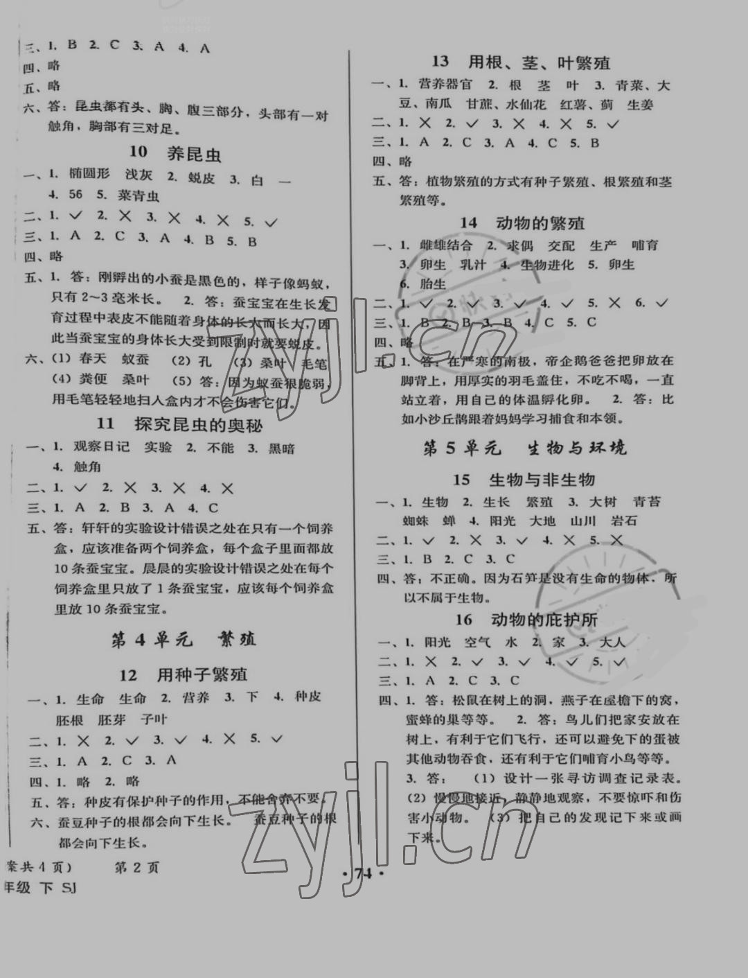 2021年小学综合素质测评四年级科学下册苏教版 参考答案第2页