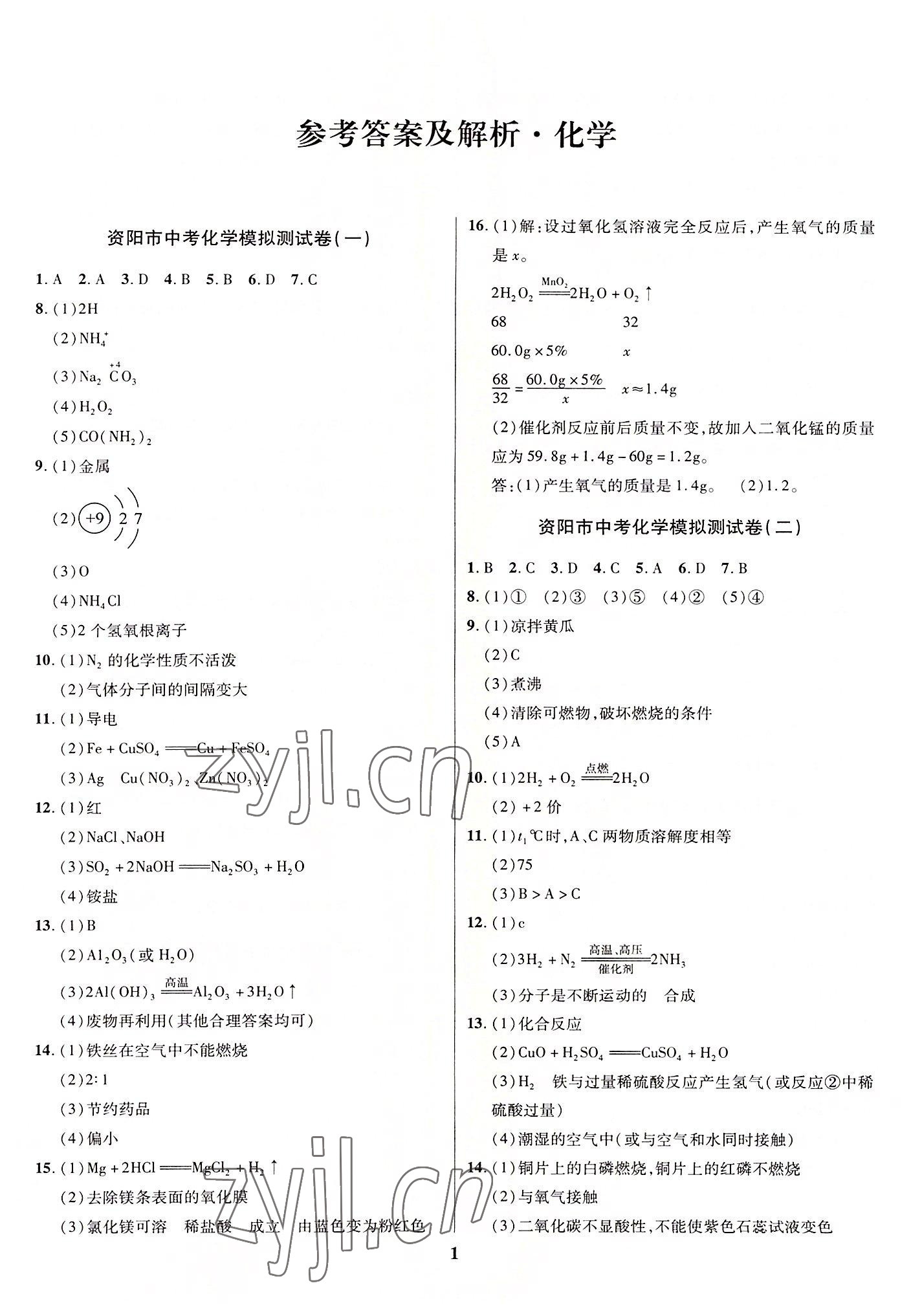 2022年名师点拨中考导航化学资阳专版 第1页