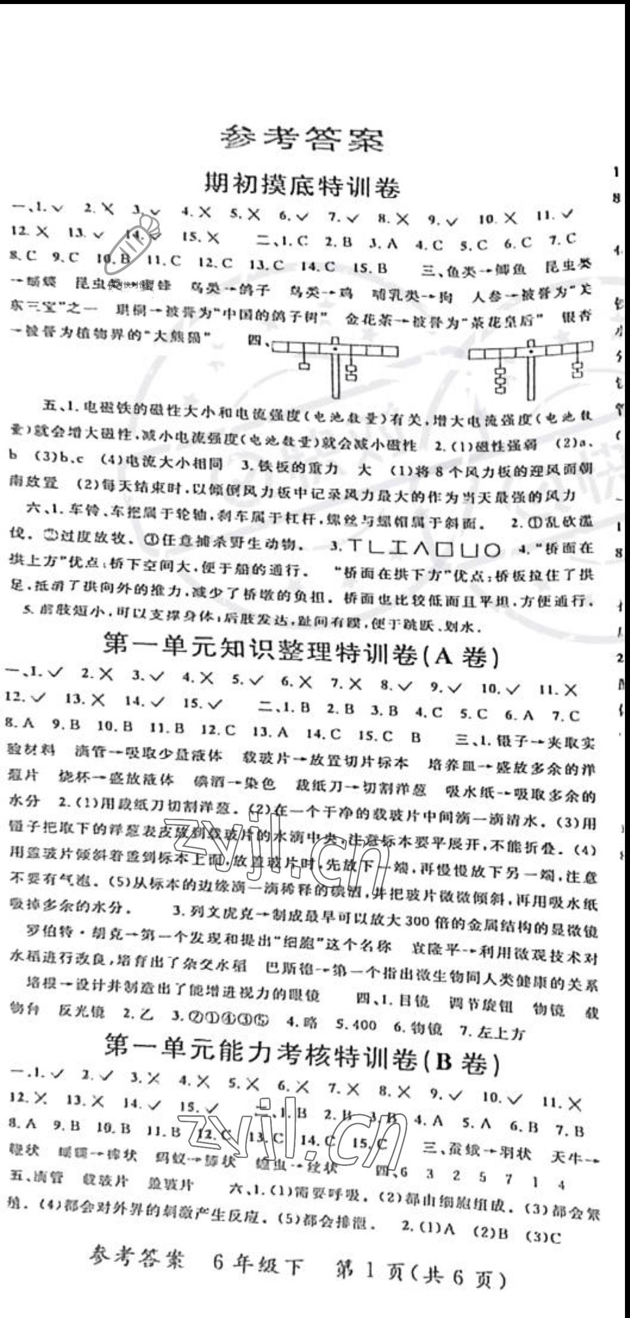 2022年特訓(xùn)卷六年級(jí)科學(xué)下冊(cè)教科版 第1頁(yè)