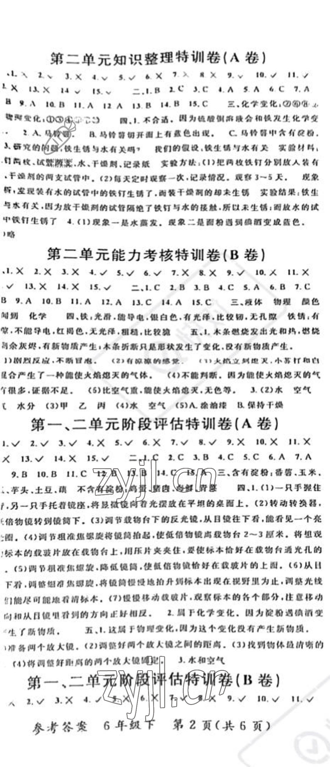 2022年特训卷六年级科学下册教科版 第2页