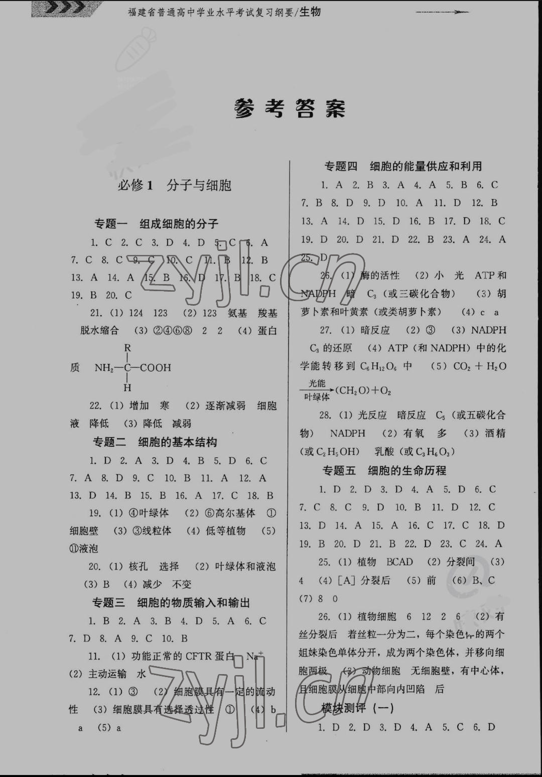 2022年学业水平考试复习纲要高中生物福建专版 参考答案第1页
