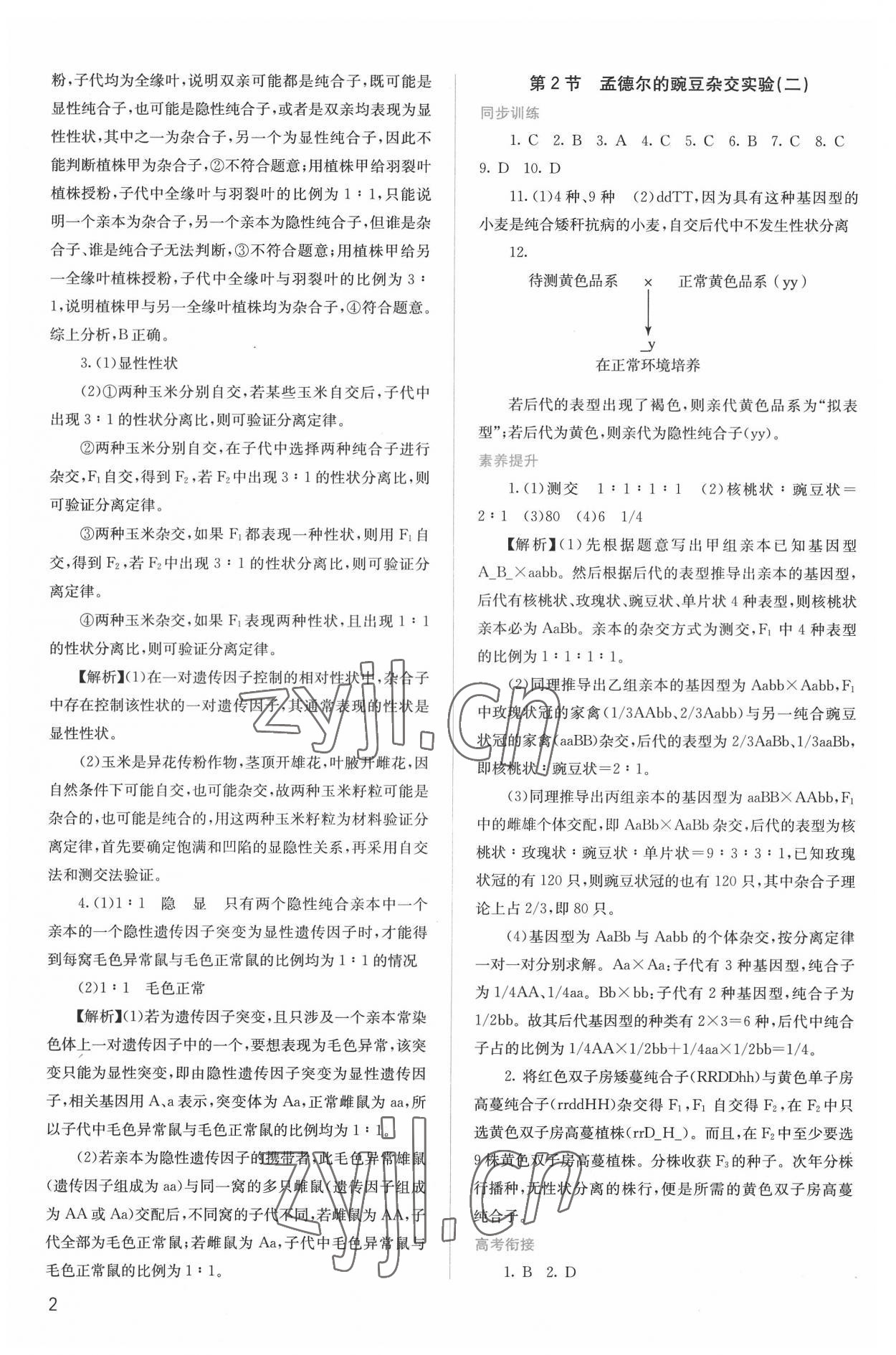 2022年人教金學(xué)典同步解析與測(cè)評(píng)高中生物必修2人教版 第2頁(yè)