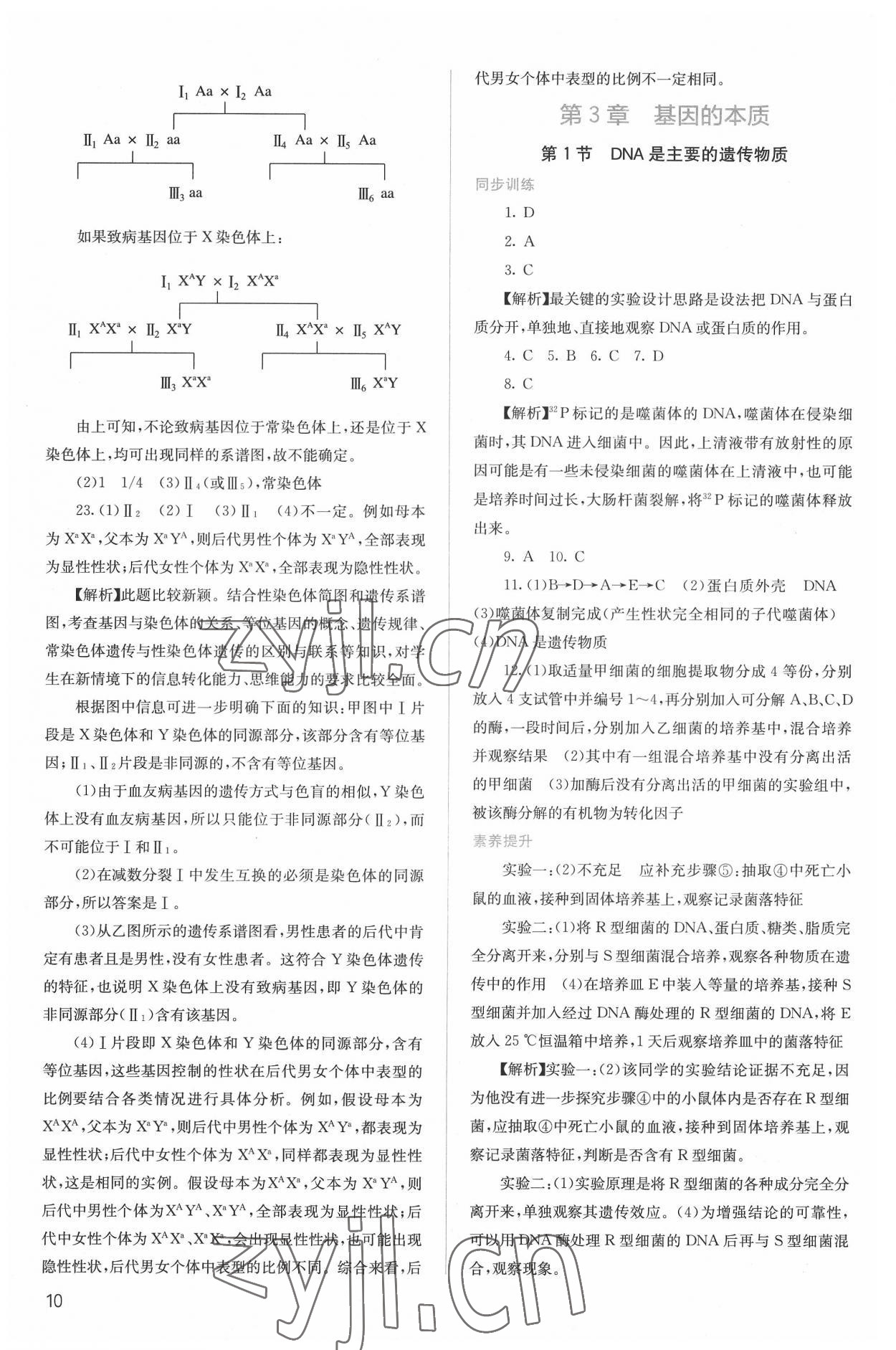 2022年人教金學(xué)典同步解析與測評(píng)高中生物必修2人教版 第10頁