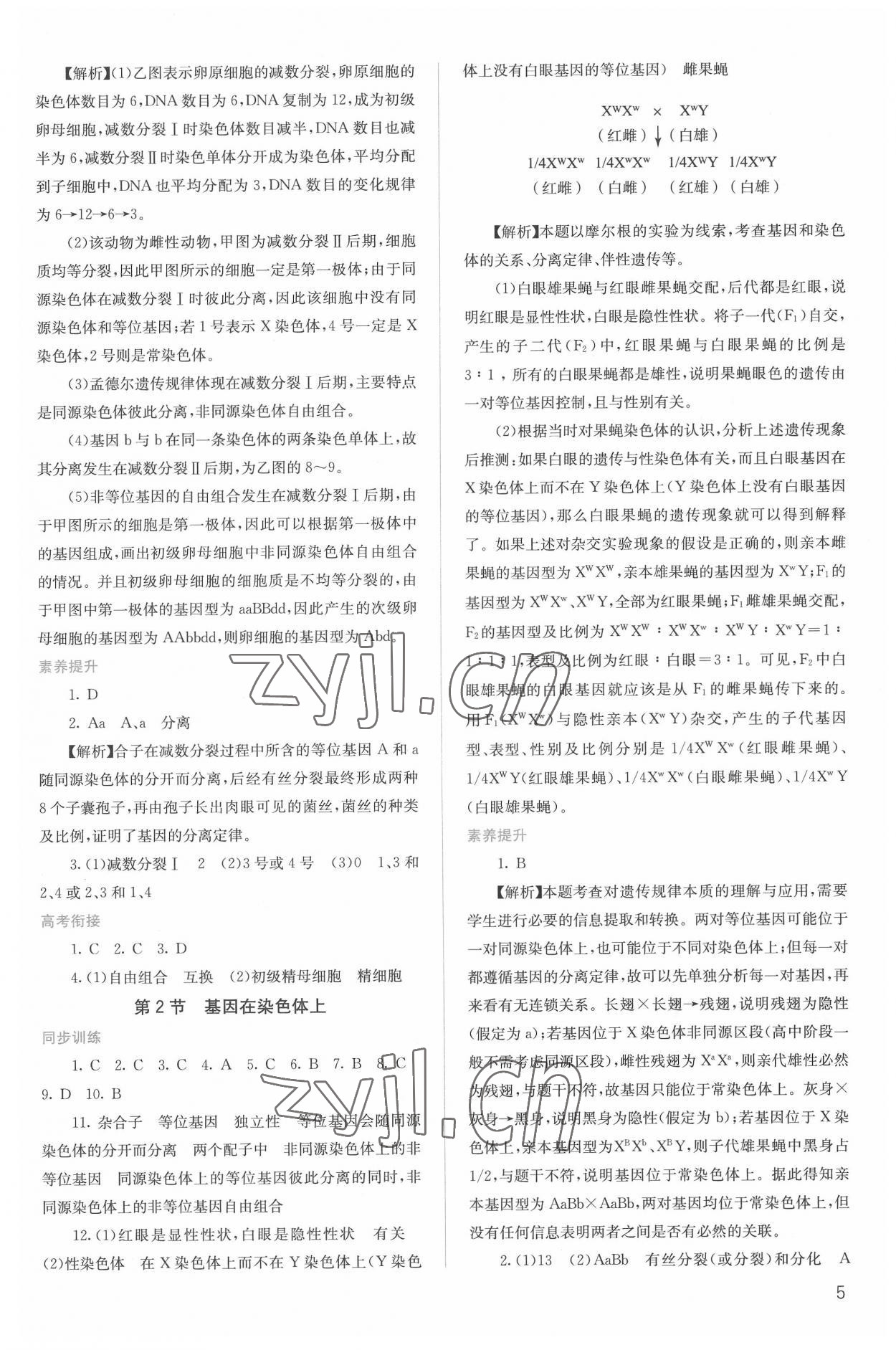 2022年人教金學(xué)典同步解析與測(cè)評(píng)高中生物必修2人教版 第5頁(yè)