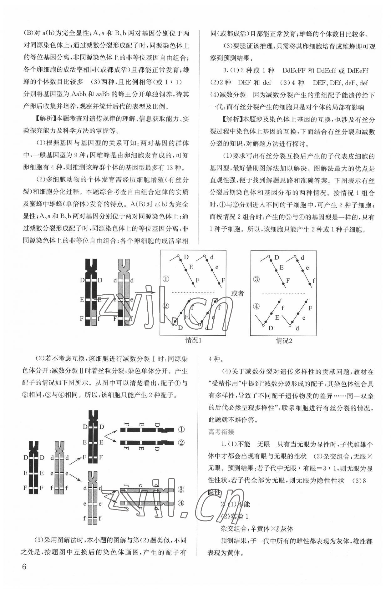 2022年人教金學典同步解析與測評高中生物必修2人教版 第6頁