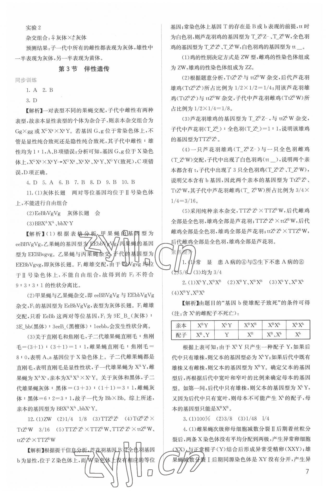 2022年人教金學典同步解析與測評高中生物必修2人教版 第7頁