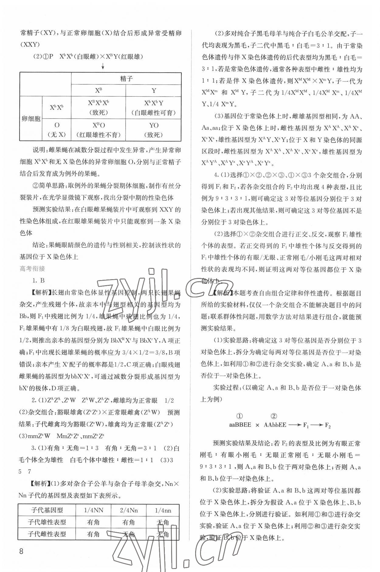 2022年人教金學典同步解析與測評高中生物必修2人教版 第8頁