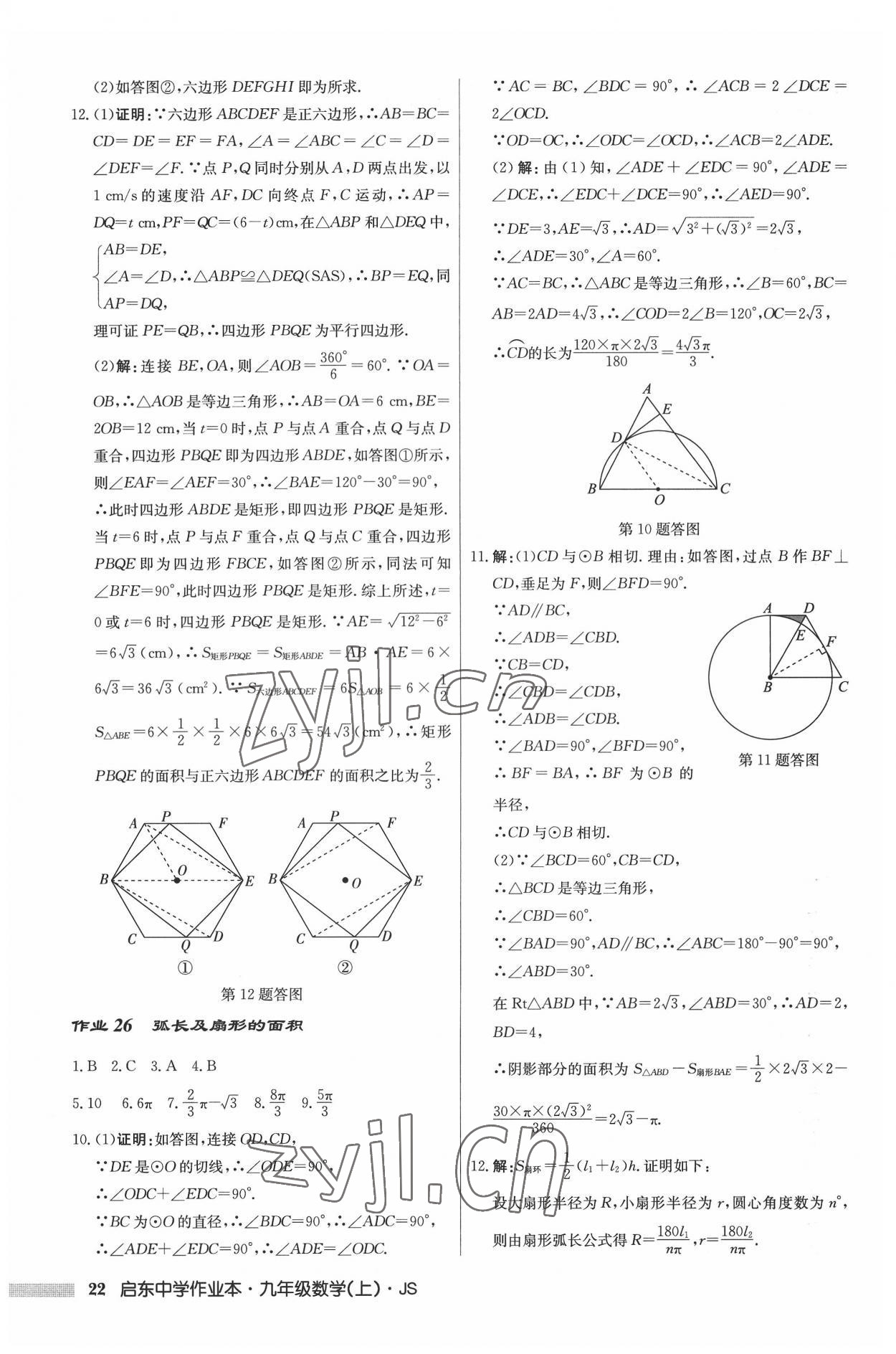 2022年启东中学作业本九年级数学上册江苏版 参考答案第22页