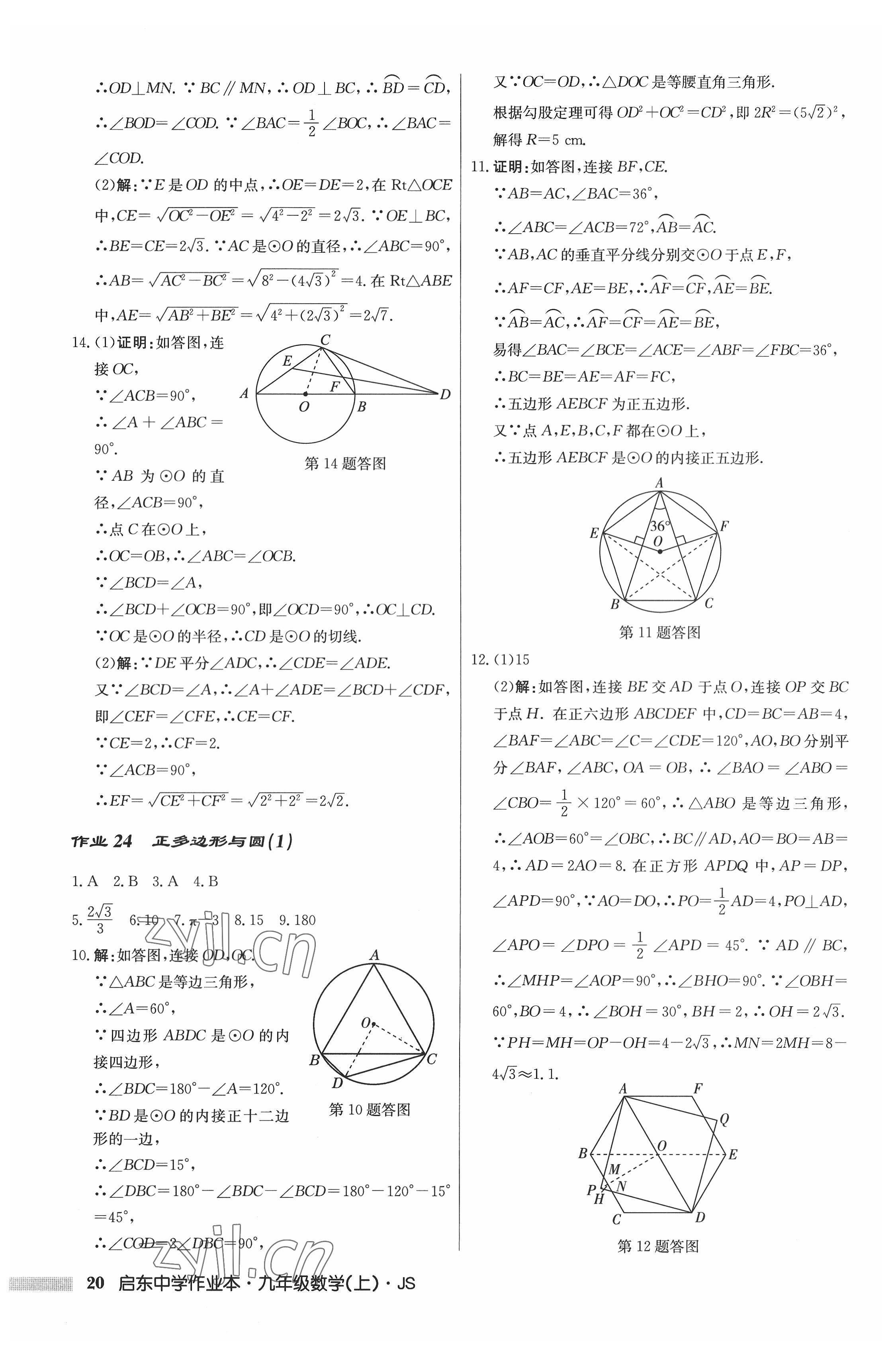 2022年启东中学作业本九年级数学上册江苏版 参考答案第20页