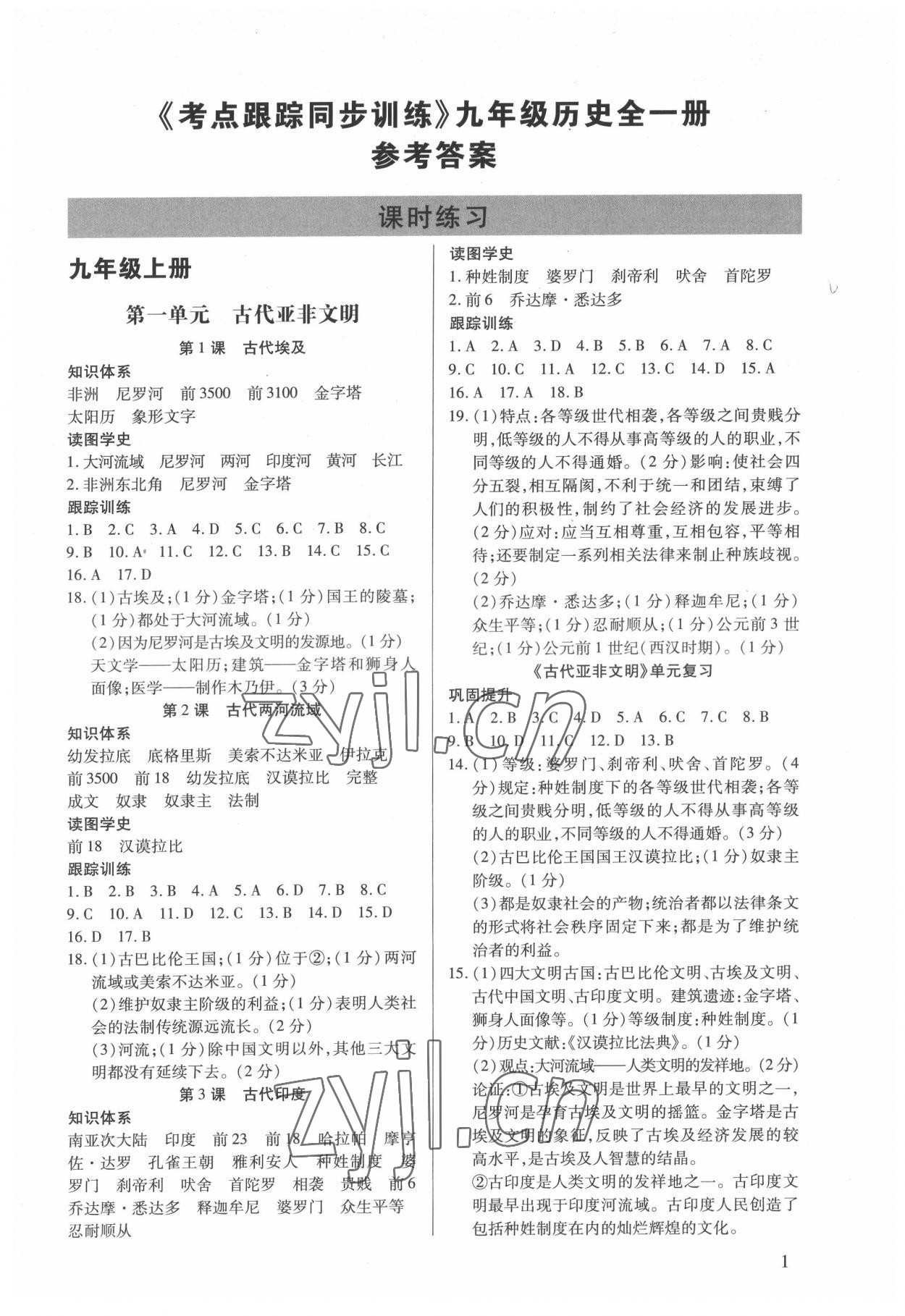 2022年考點(diǎn)跟蹤同步訓(xùn)練九年級歷史全一冊 第1頁