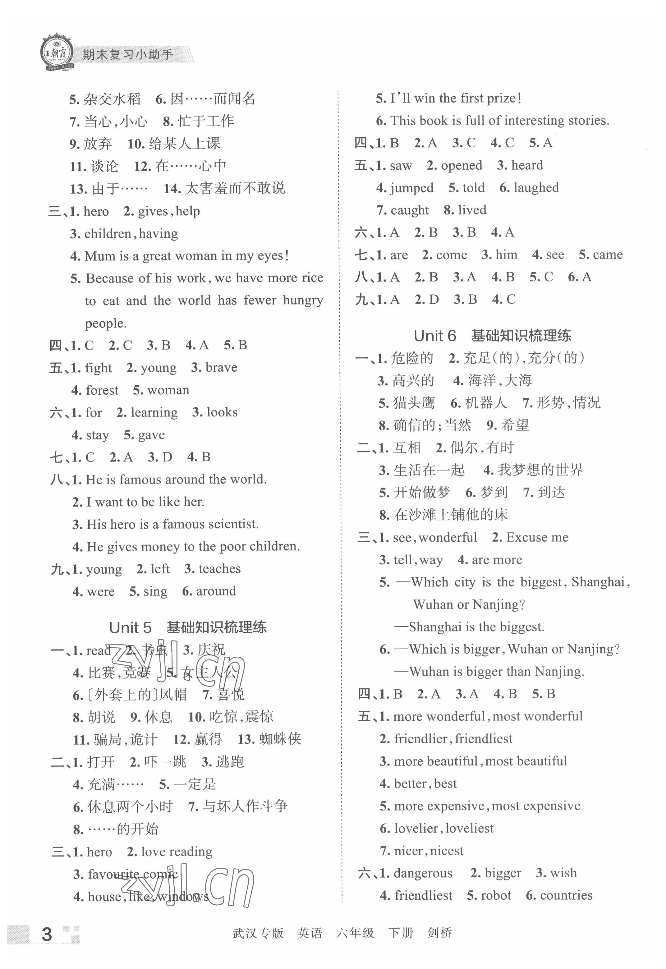 2022年王朝霞期末真題精編六年級(jí)英語(yǔ)下冊(cè)Join in武漢專版 參考答案第3頁(yè)