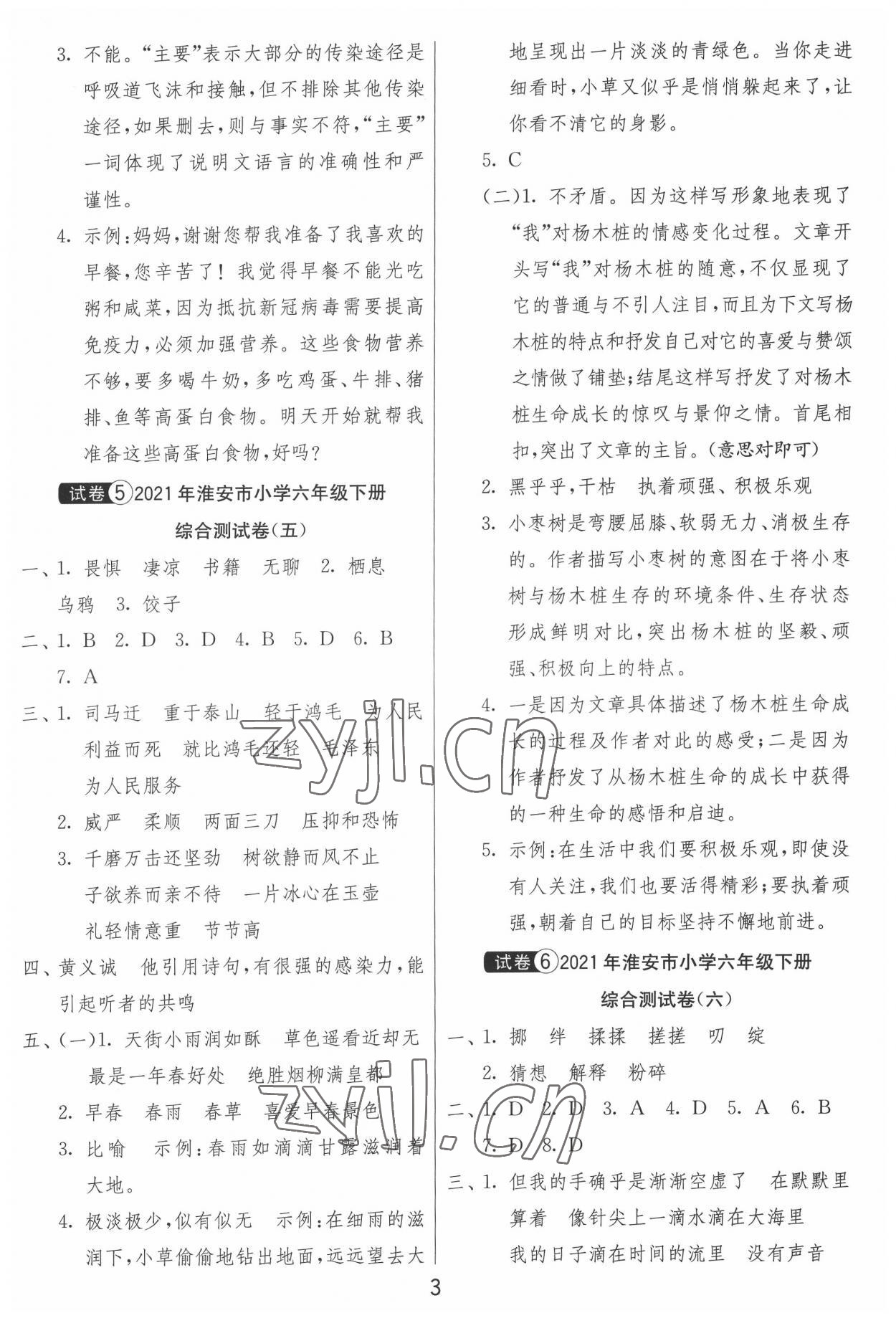 2022年考必勝淮安市小學(xué)畢業(yè)升學(xué)考試試卷精選語文 第3頁