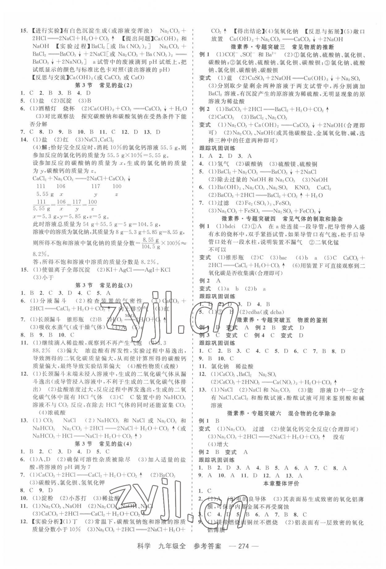 2022年精彩練習(xí)就練這一本九年級科學(xué)全一冊華師大版 第4頁