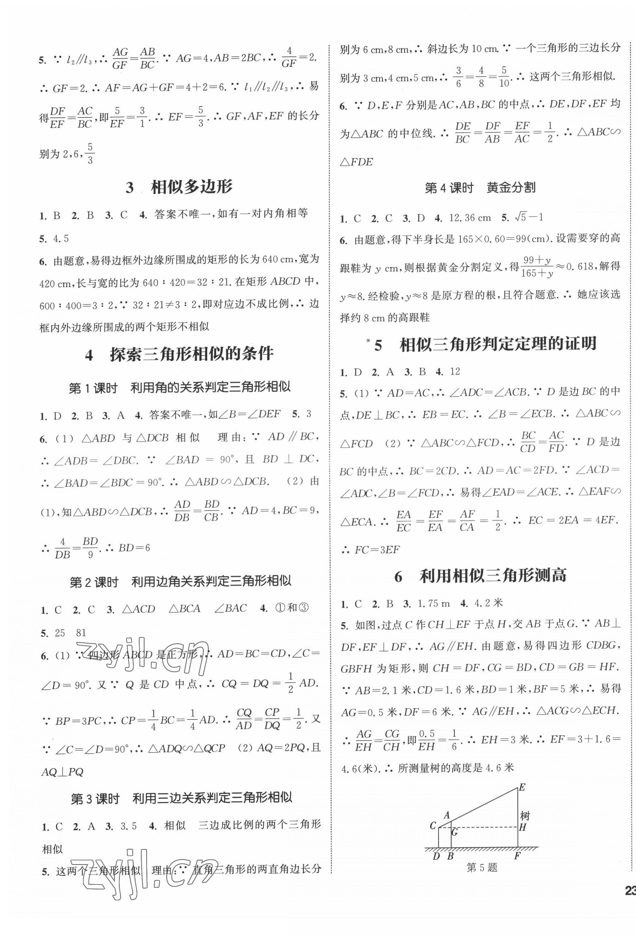 2022年通城學(xué)典課時(shí)作業(yè)本九年級(jí)數(shù)學(xué)上冊(cè)北師大版 第5頁