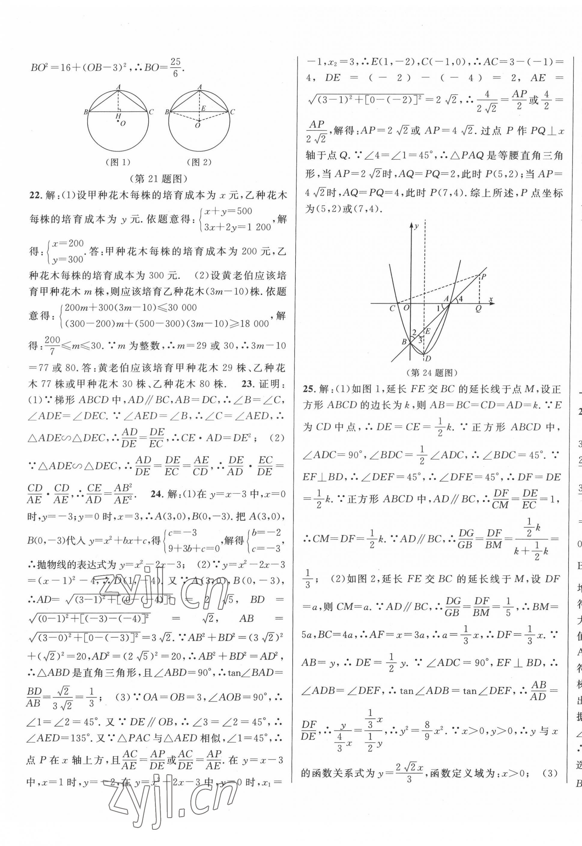 2022年中考真題分類特訓(xùn)數(shù)學(xué) 第11頁(yè)