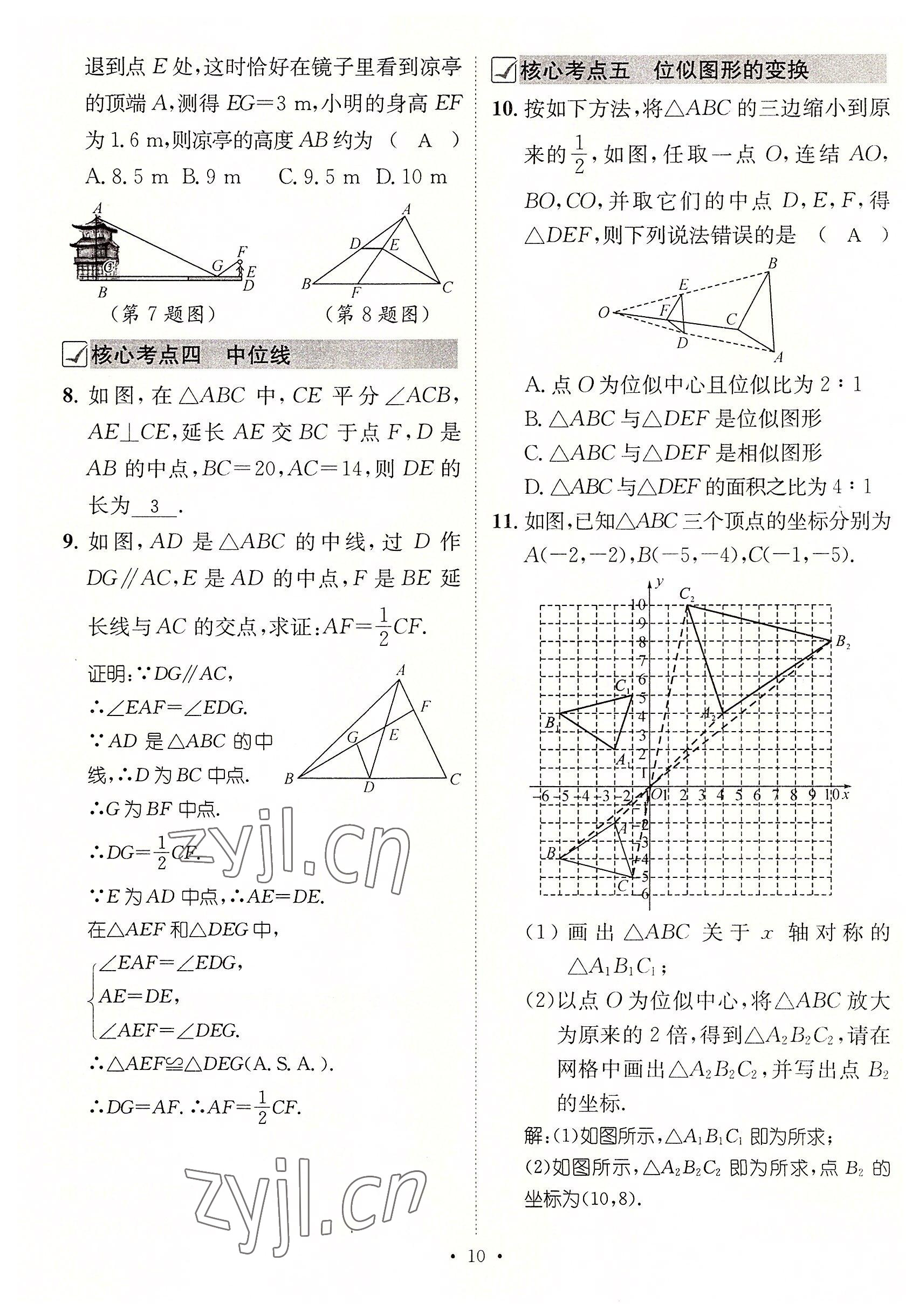 2022年名师测控九年级数学上册华师大版 参考答案第46页