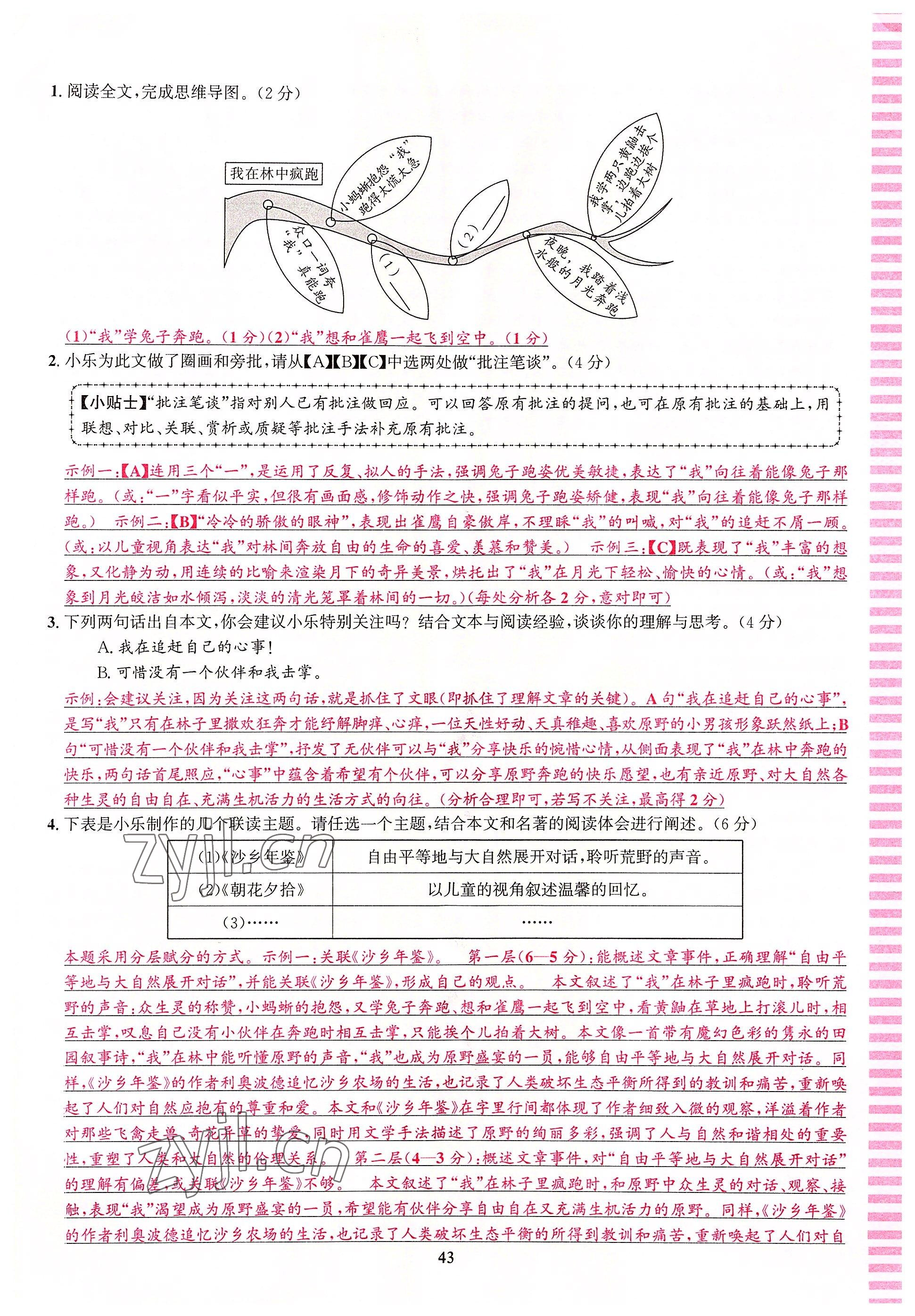 2022年語文花開天津科學(xué)技術(shù)出版社九年級語文全一冊人教版浙江專版 參考答案第43頁