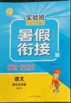 2022年實驗班提優(yōu)訓(xùn)練暑假銜接版四升五年級語文人教版