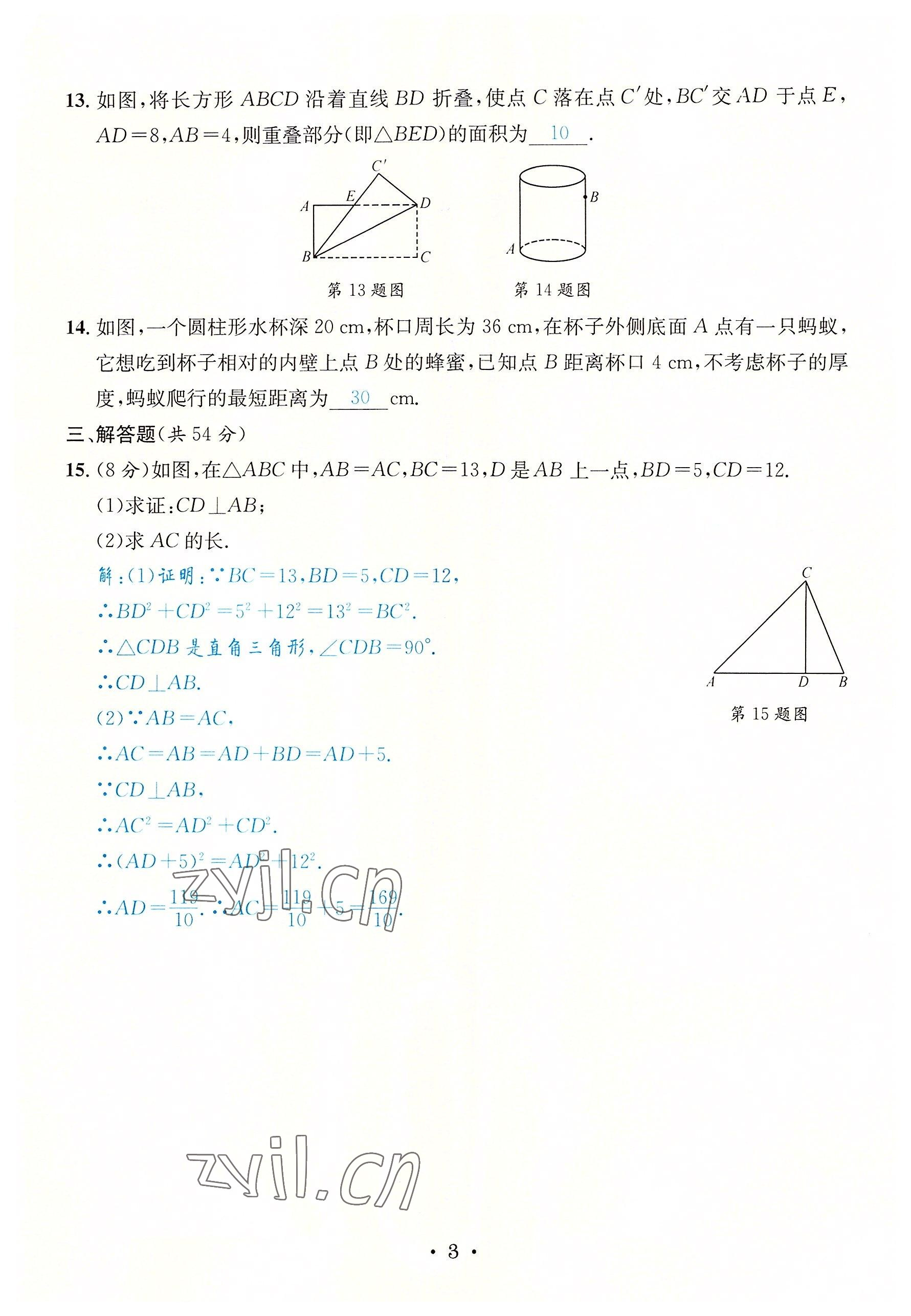 2022年蓉城学霸八年级数学上册北师大版 第3页