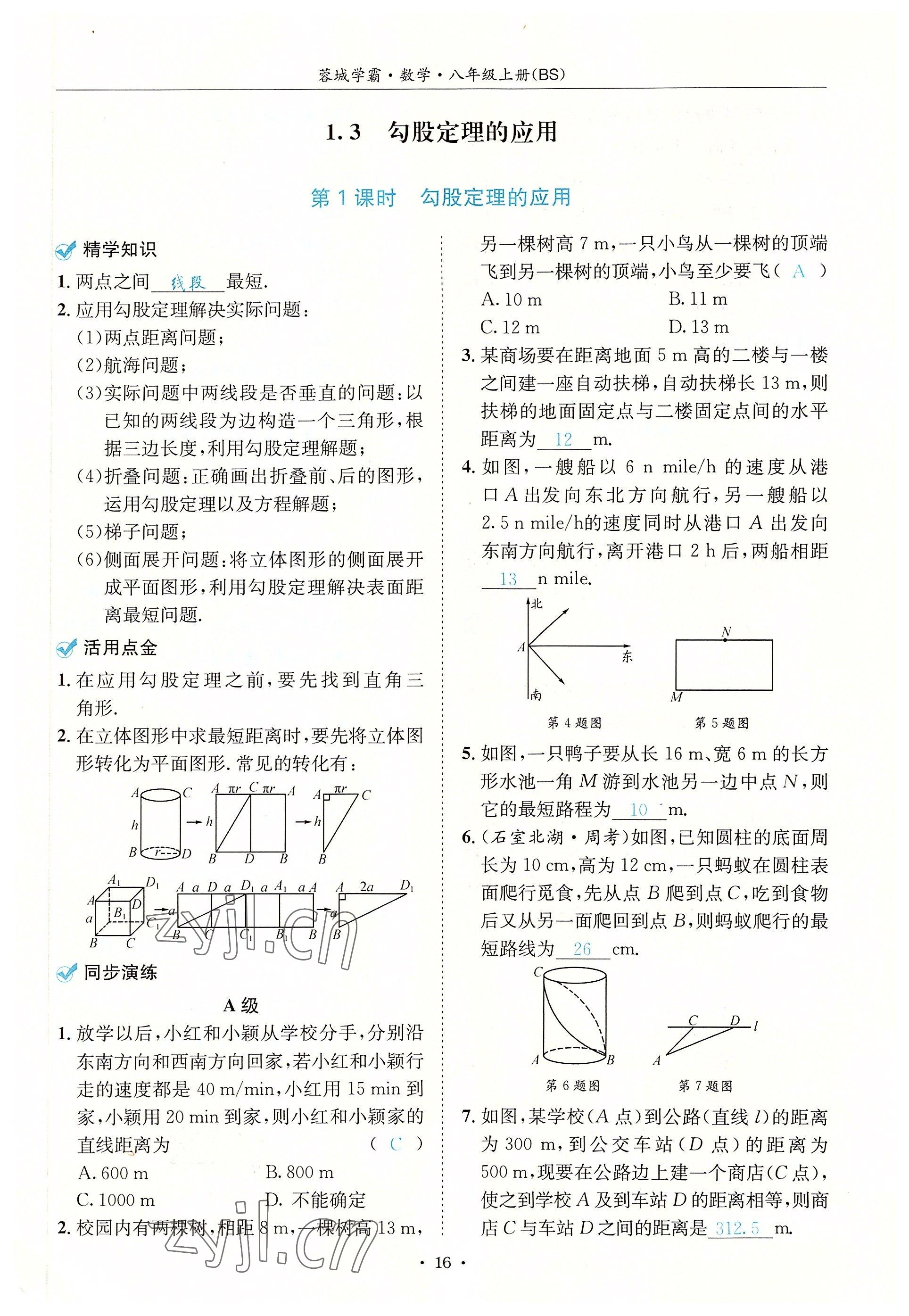 2022年蓉城學(xué)霸八年級數(shù)學(xué)上冊北師大版 參考答案第16頁