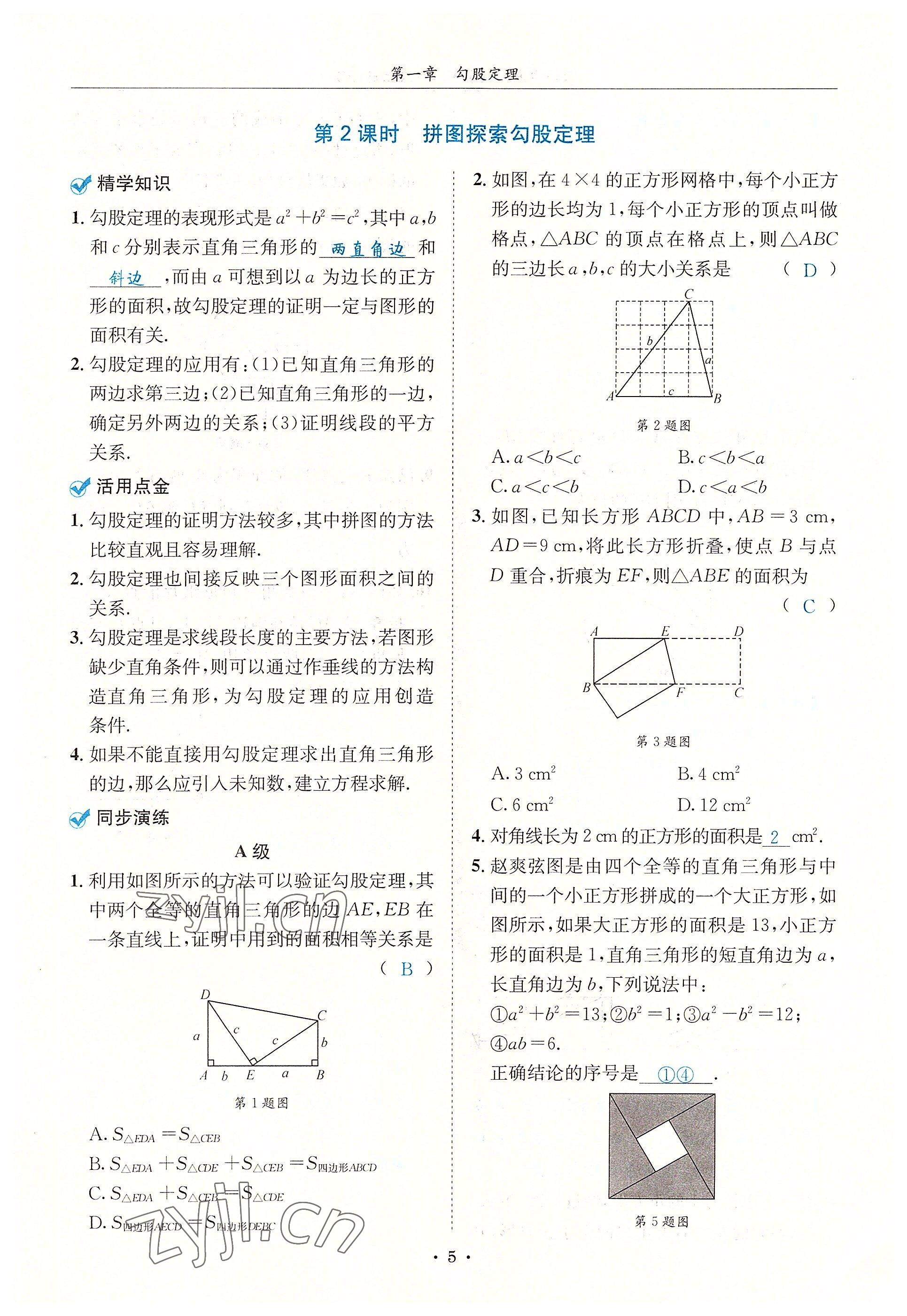 2022年蓉城學(xué)霸八年級(jí)數(shù)學(xué)上冊(cè)北師大版 參考答案第5頁