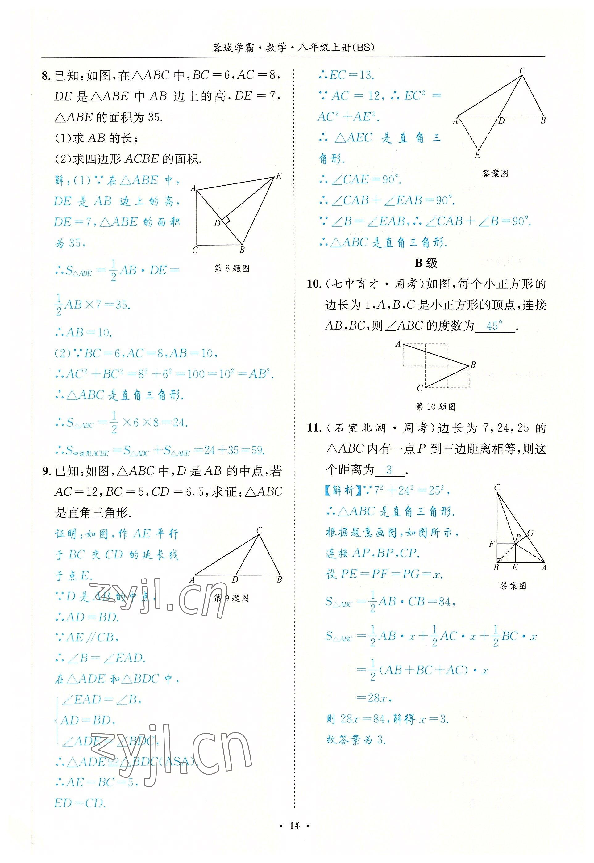 2022年蓉城学霸八年级数学上册北师大版 参考答案第14页