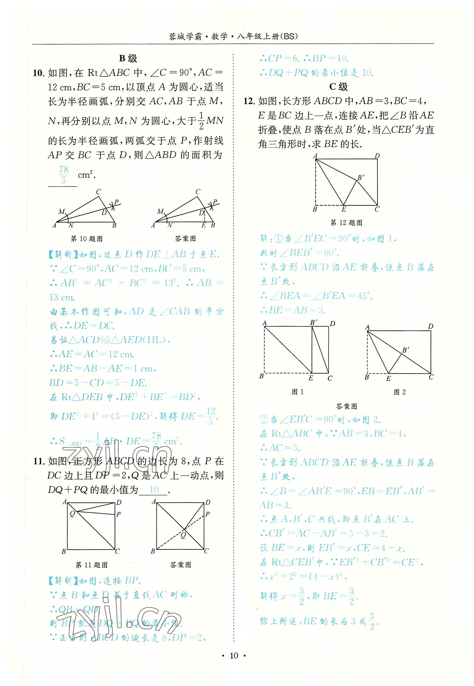 2022年蓉城学霸八年级数学上册北师大版 参考答案第10页