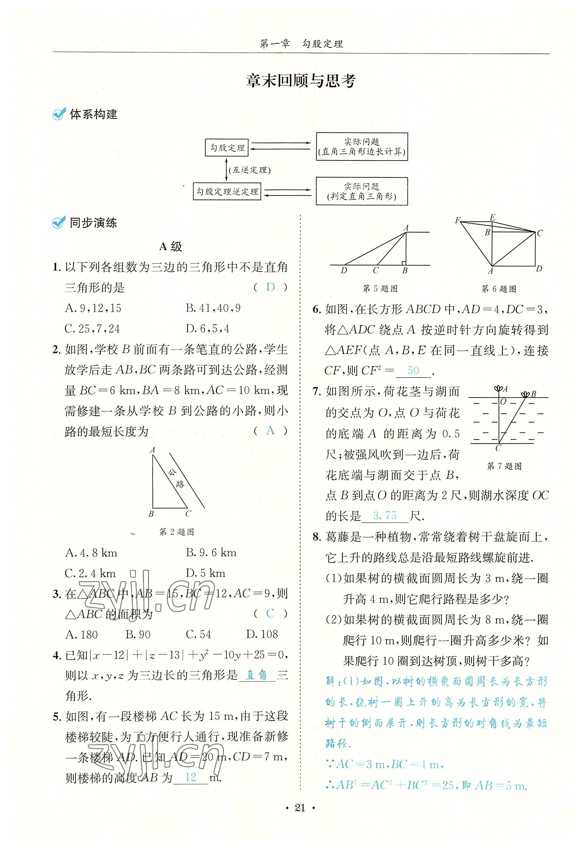 2022年蓉城學(xué)霸八年級(jí)數(shù)學(xué)上冊(cè)北師大版 參考答案第21頁(yè)