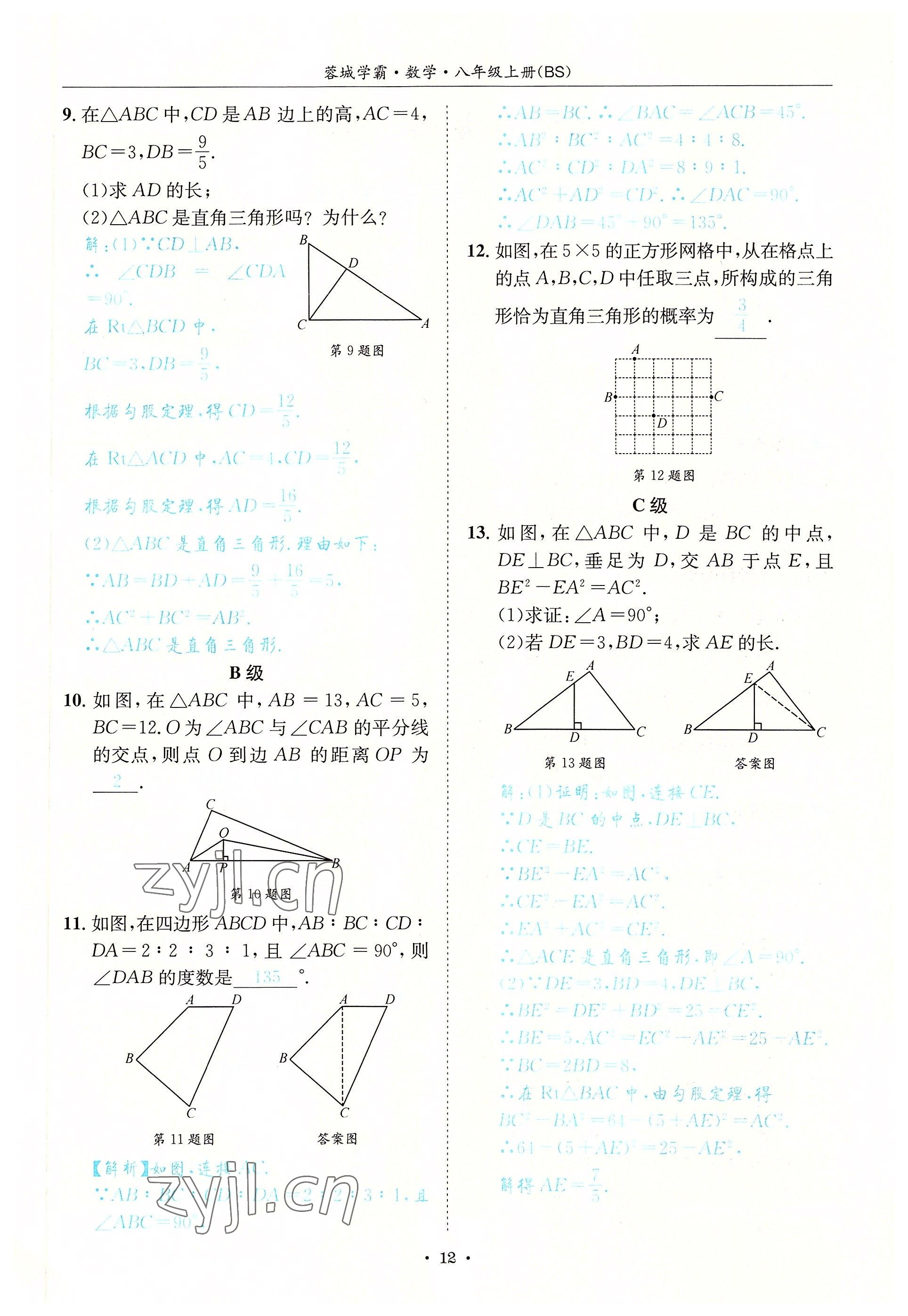 2022年蓉城学霸八年级数学上册北师大版 参考答案第12页