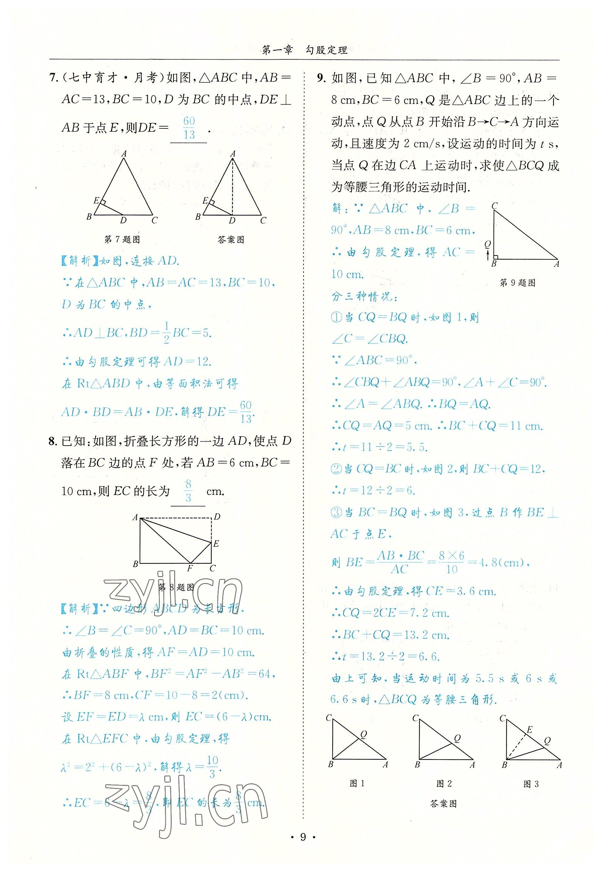 2022年蓉城学霸八年级数学上册北师大版 参考答案第9页