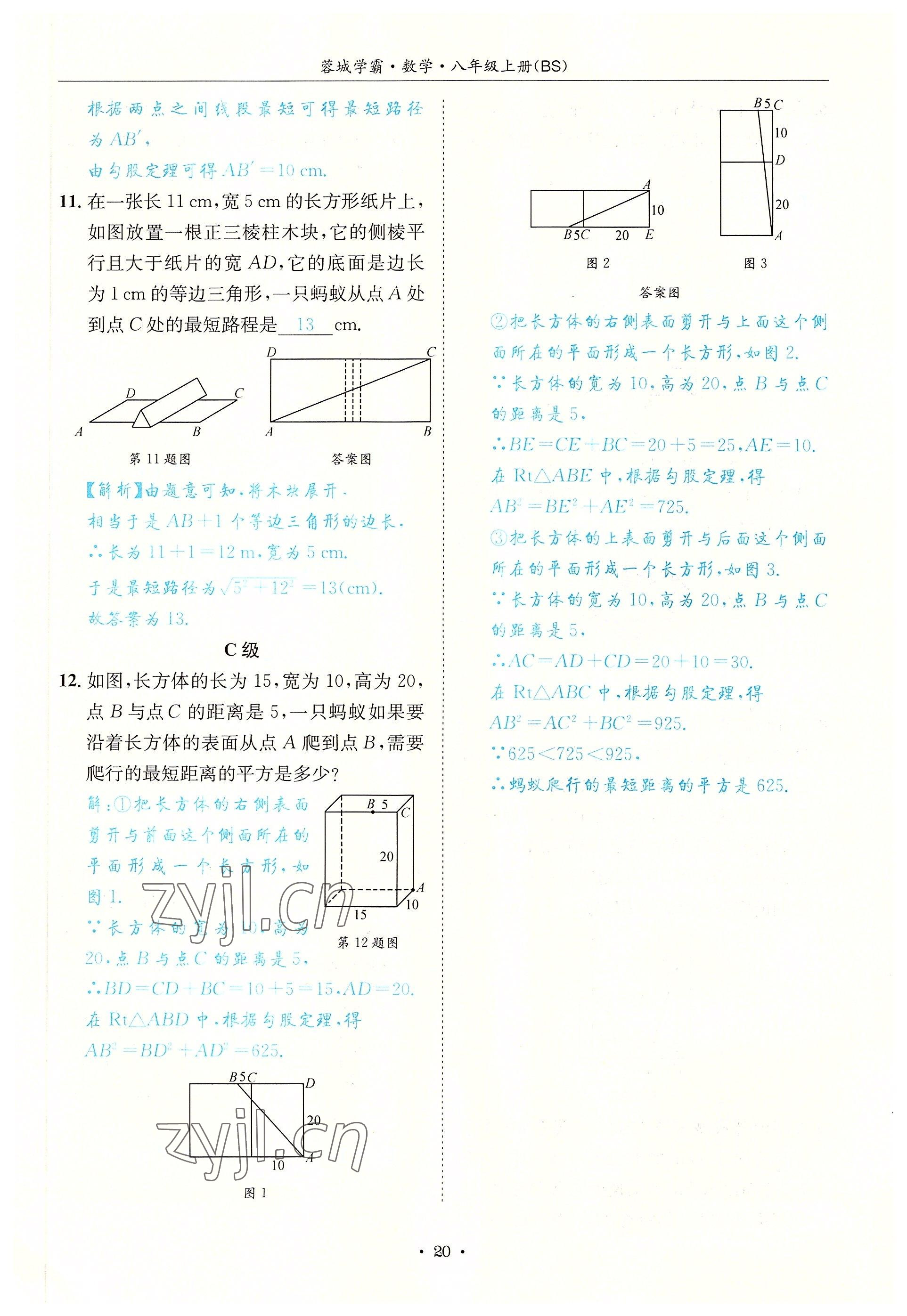 2022年蓉城学霸八年级数学上册北师大版 参考答案第20页