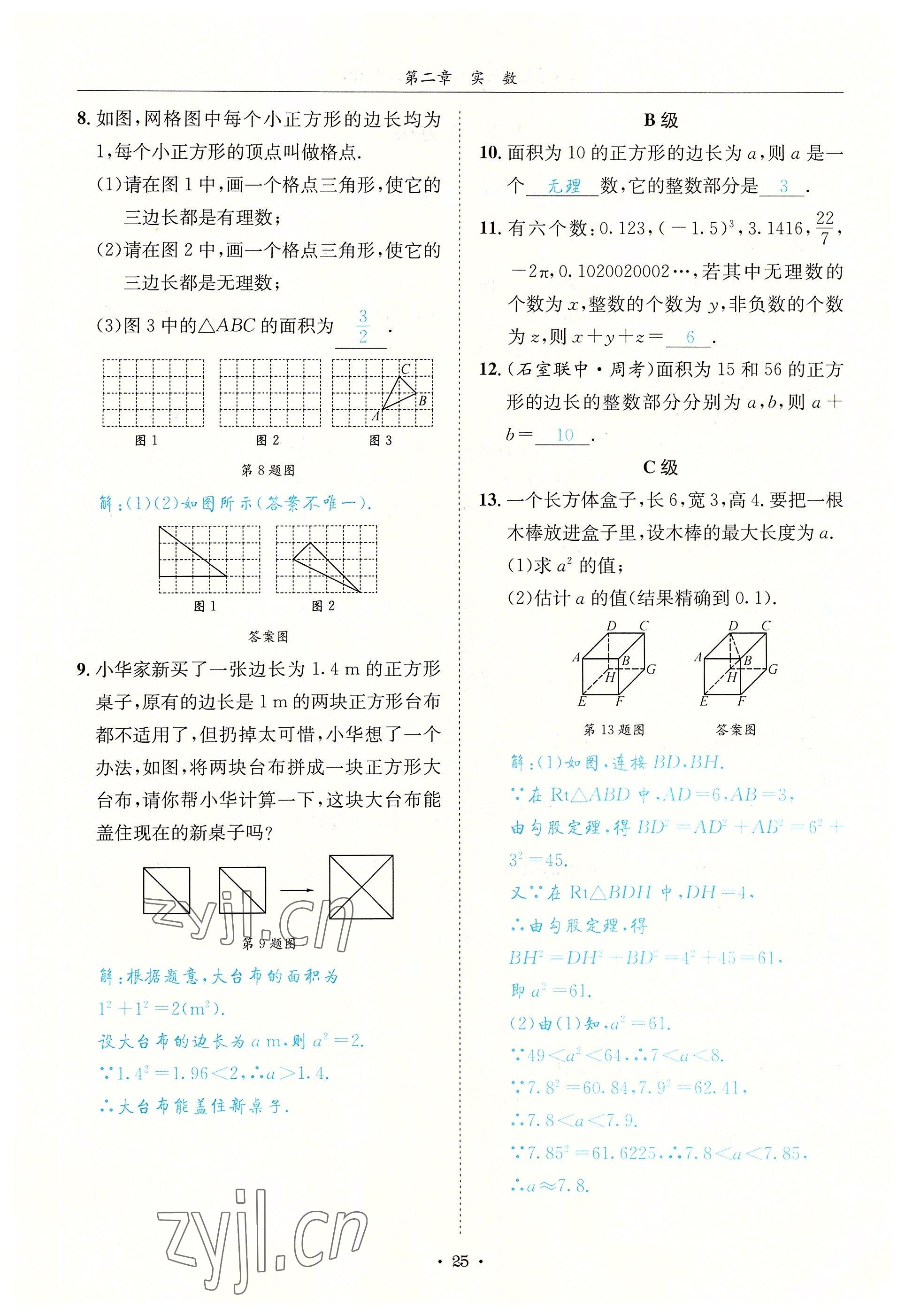 2022年蓉城学霸八年级数学上册北师大版 参考答案第25页