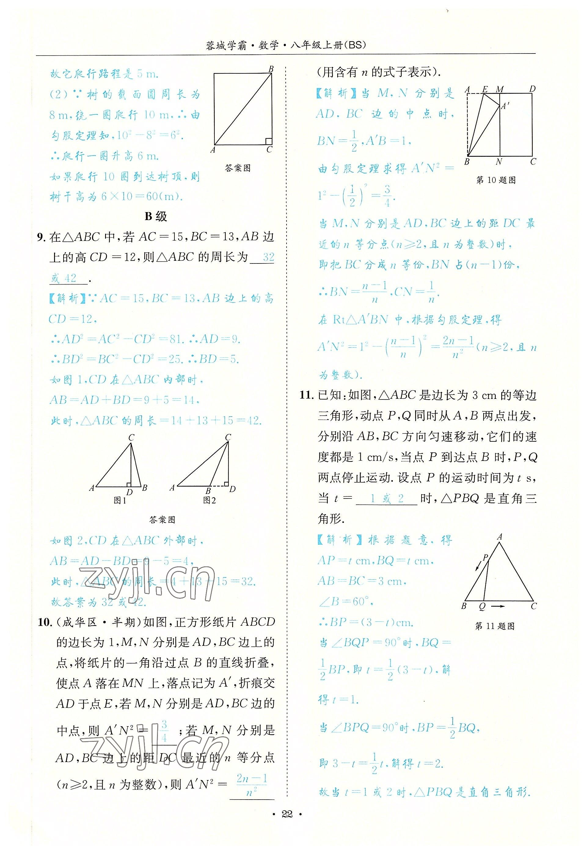 2022年蓉城学霸八年级数学上册北师大版 参考答案第22页