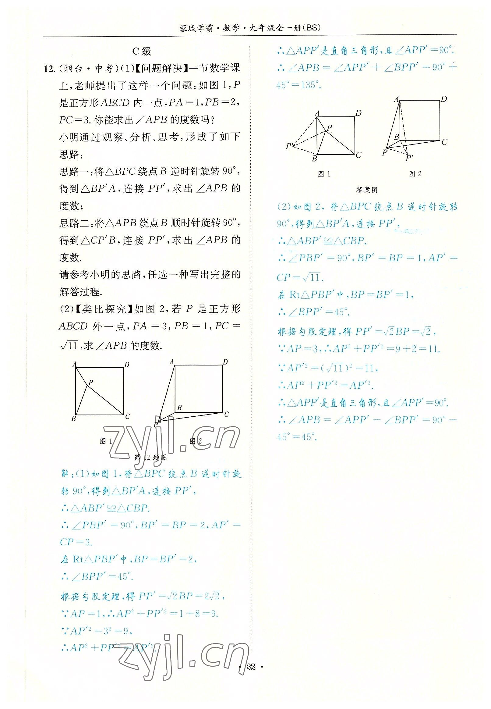 2022年蓉城学霸九年级数学全一册北师大版 参考答案第22页