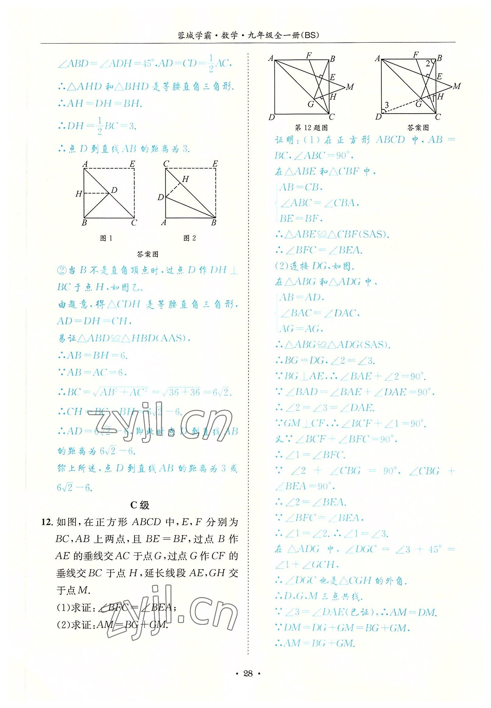 2022年蓉城學霸九年級數(shù)學全一冊北師大版 參考答案第28頁