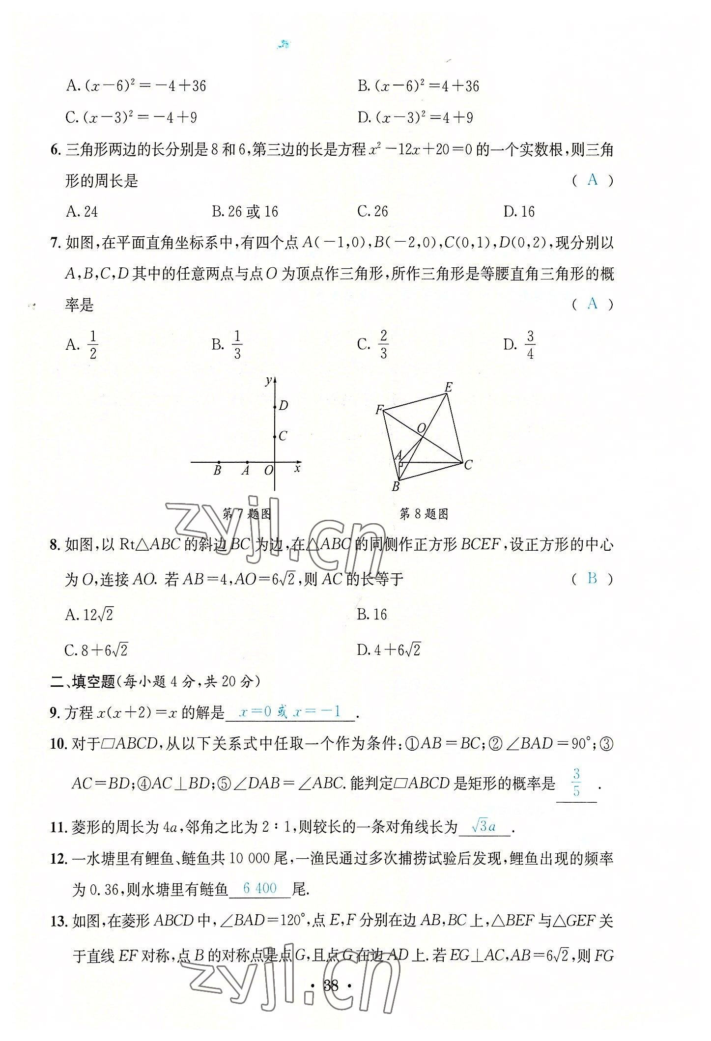 2022年蓉城学霸九年级数学全一册北师大版 第38页