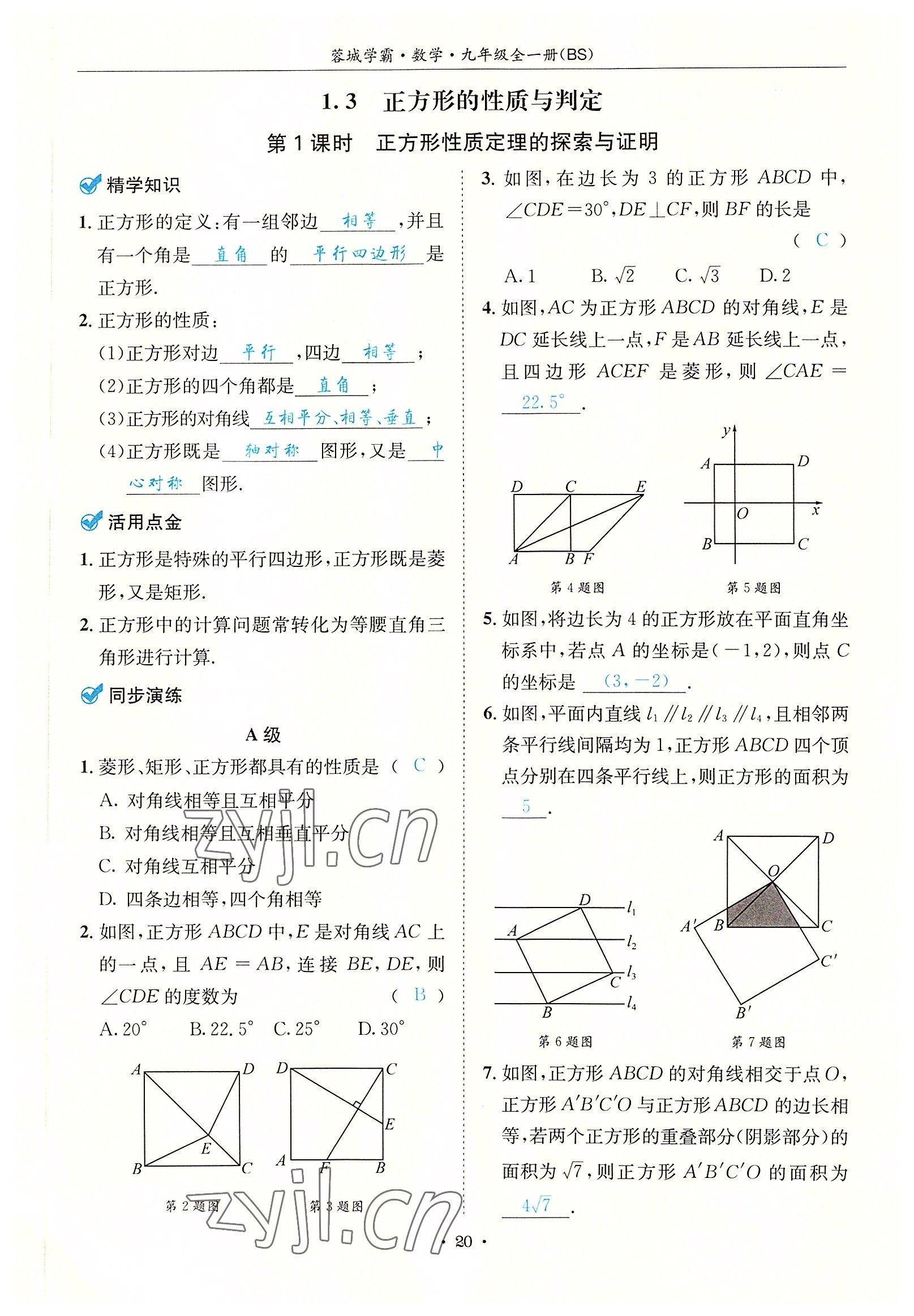 2022年蓉城学霸九年级数学全一册北师大版 参考答案第20页