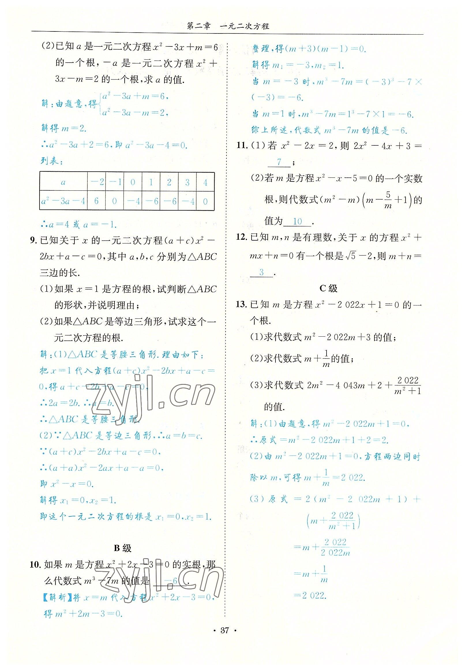 2022年蓉城学霸九年级数学全一册北师大版 参考答案第37页