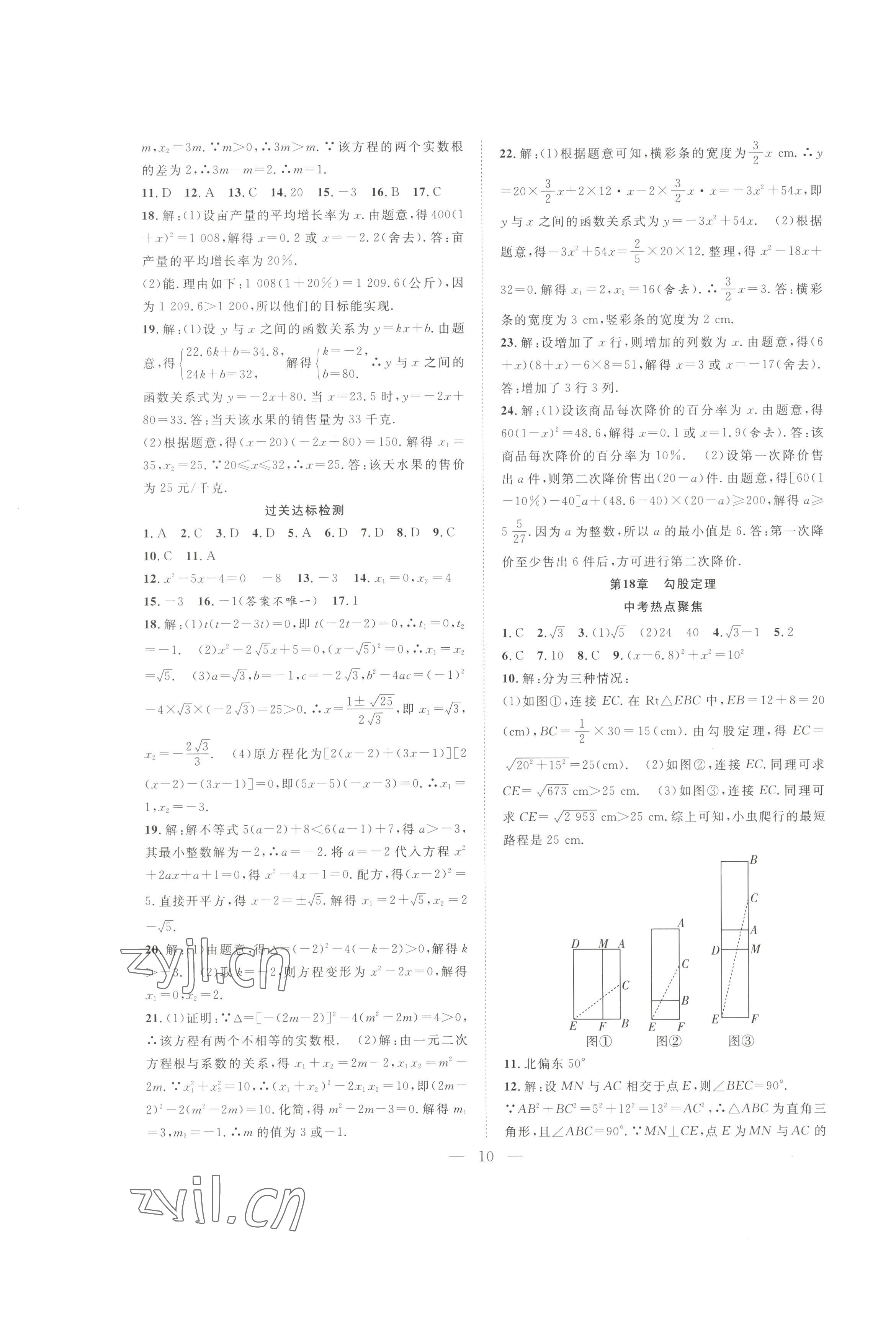 2022年假期伴你行暑假八年級(jí)數(shù)學(xué)滬科版合肥工業(yè)大學(xué)出版社 第2頁(yè)