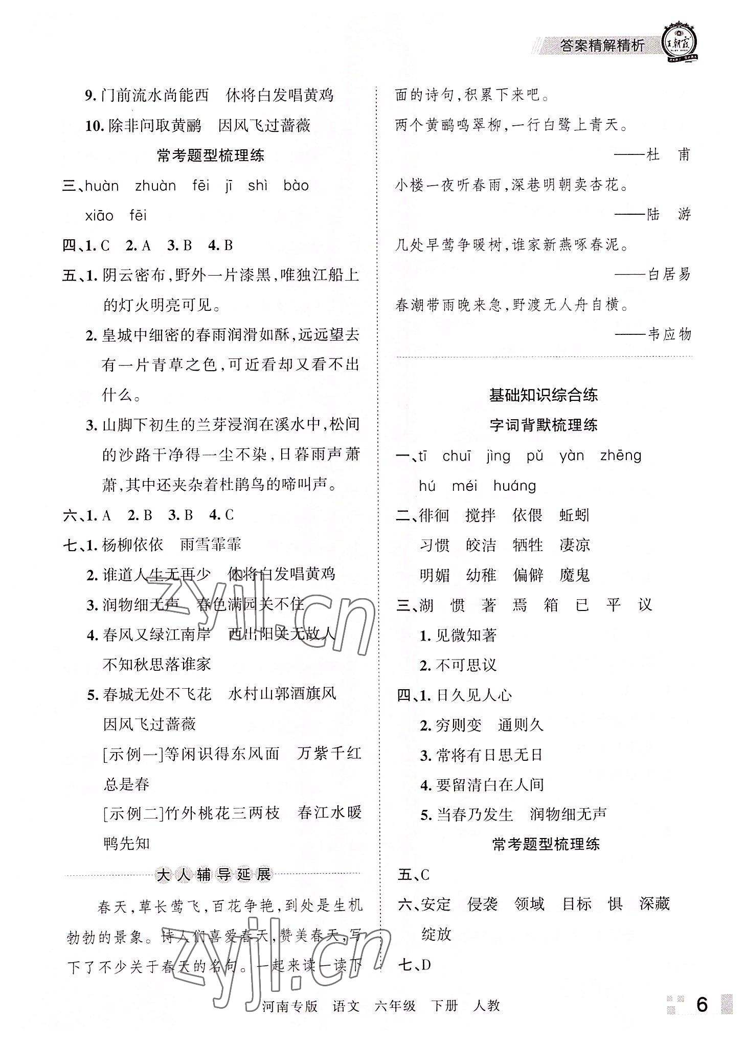 2022年王朝霞各地期末试卷精选六年级语文下册人教版河南专版 参考答案第6页