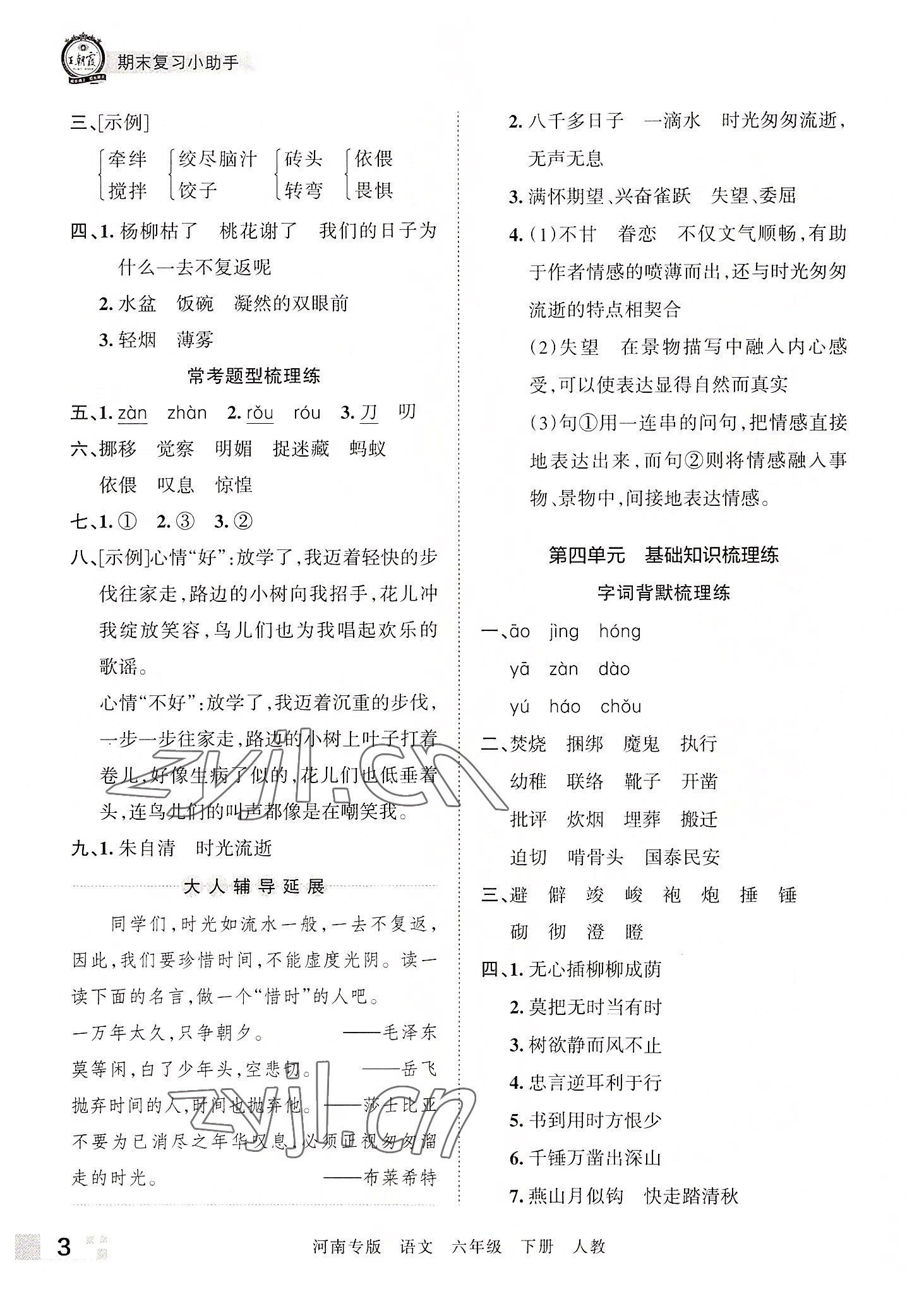 2022年王朝霞各地期末试卷精选六年级语文下册人教版河南专版 参考答案第3页