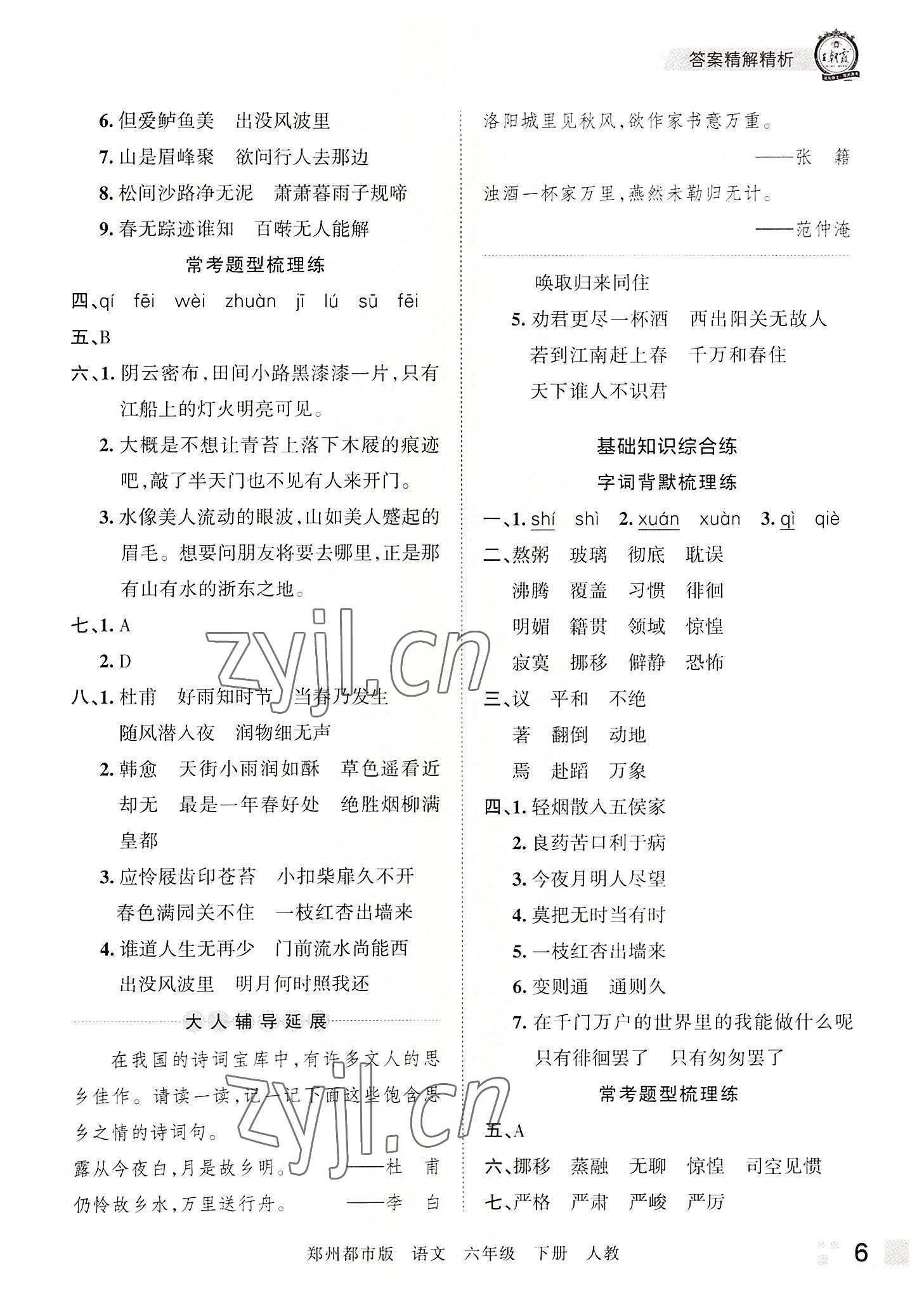 2022年王朝霞期末真题精编六年级语文下册人教版郑州专版 参考答案第6页