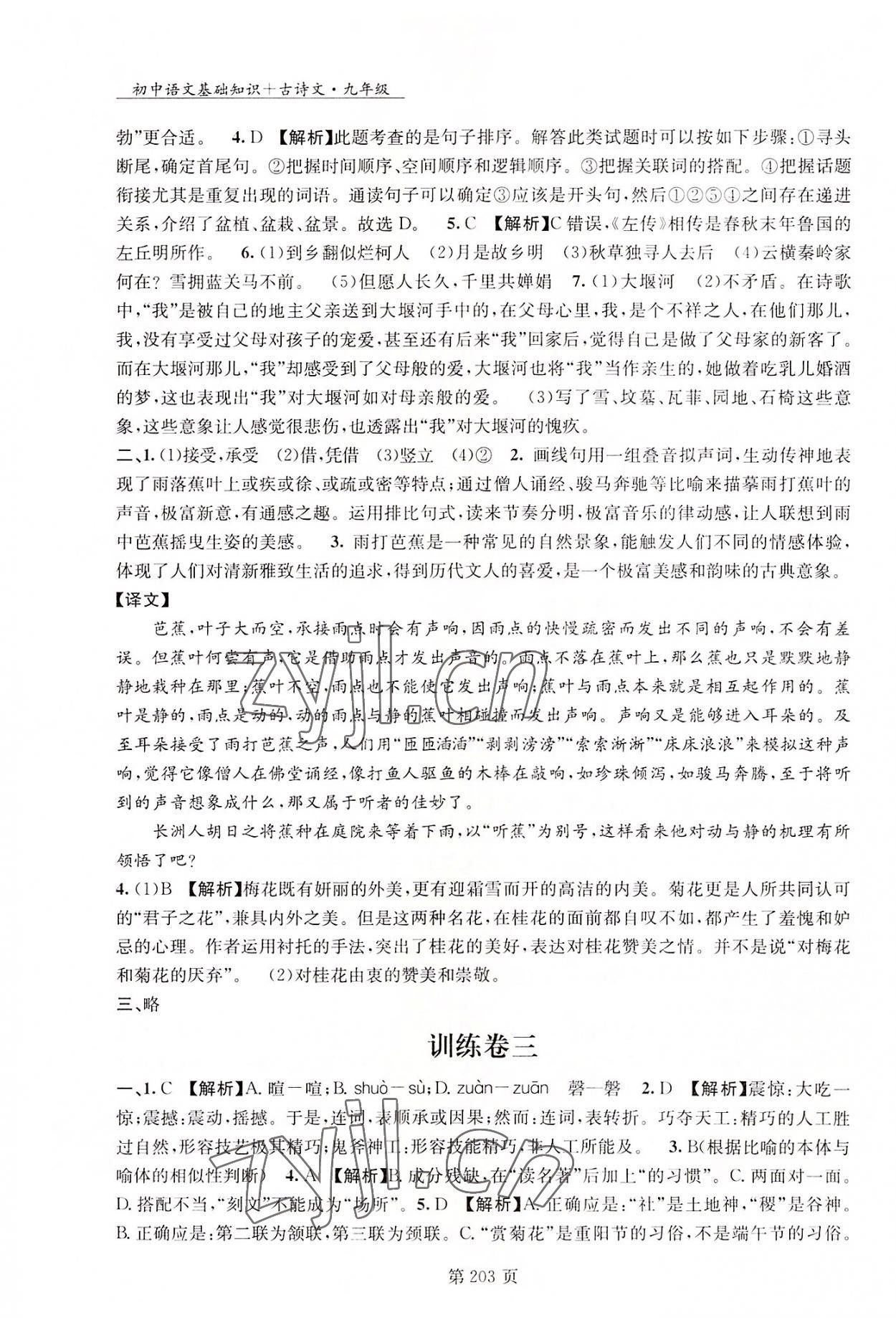 2022年初中語文基礎(chǔ)知識加古詩文沈陽出版社九年級語文 第2頁